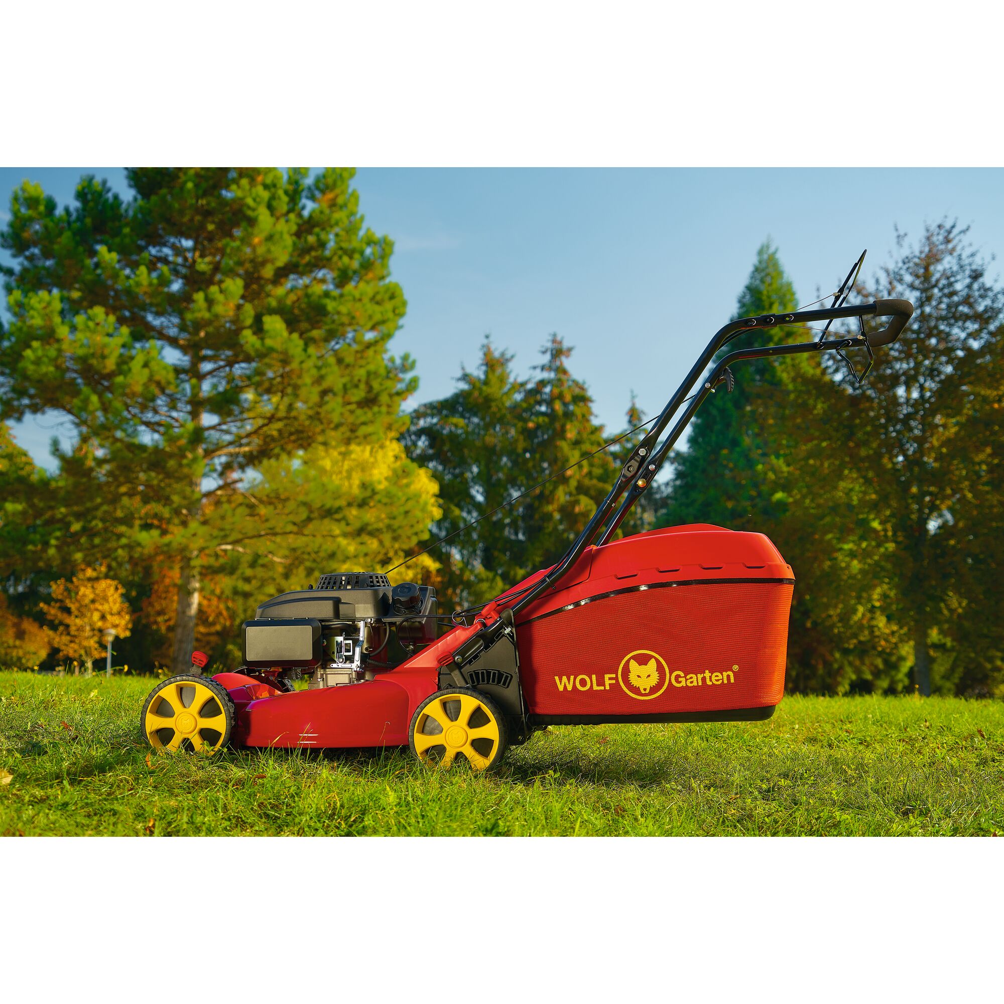 A red and yellow WOLF Garten lawn mower with grass collection box, photographed on a lawn with green trees and blue sky in the background.