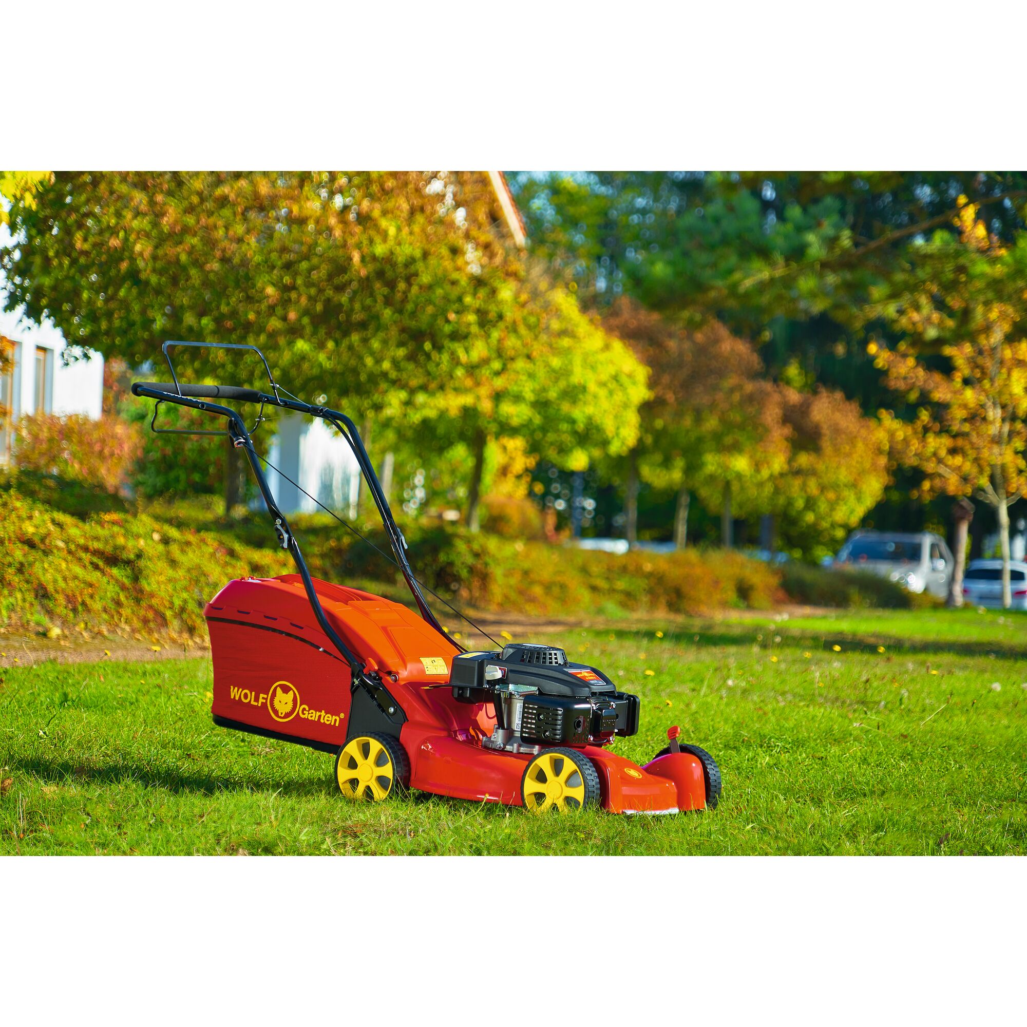 A red and yellow WOLFGarten lawn mower, model 12D-POKC650, is placed on green grass outdoors with trees and cars visible in the background.