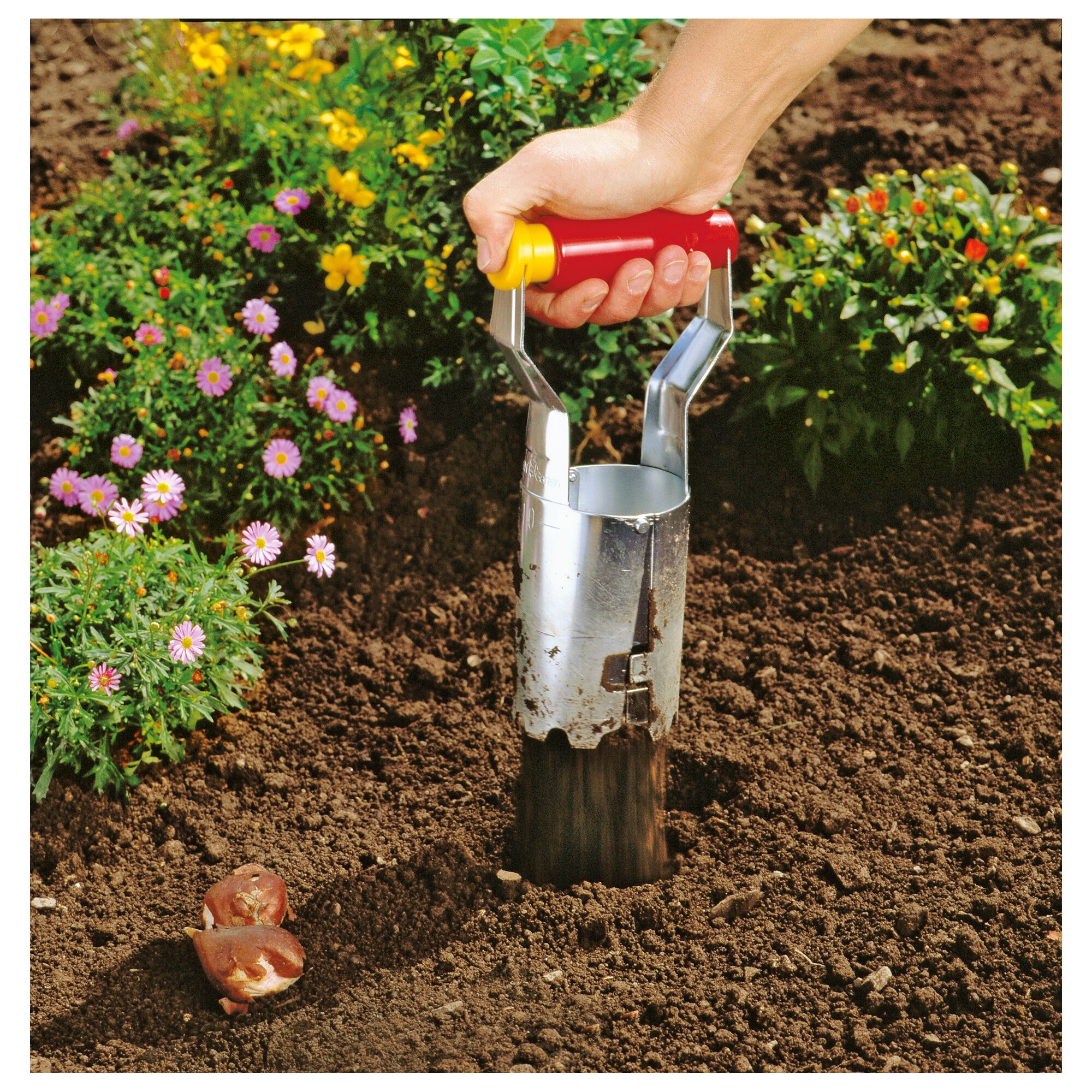 A hand using a WOLF-Garten garden tool with a red and yellow handle to dig a hole in the soil, preparing for bulb planting, with blooming flowers in the background.