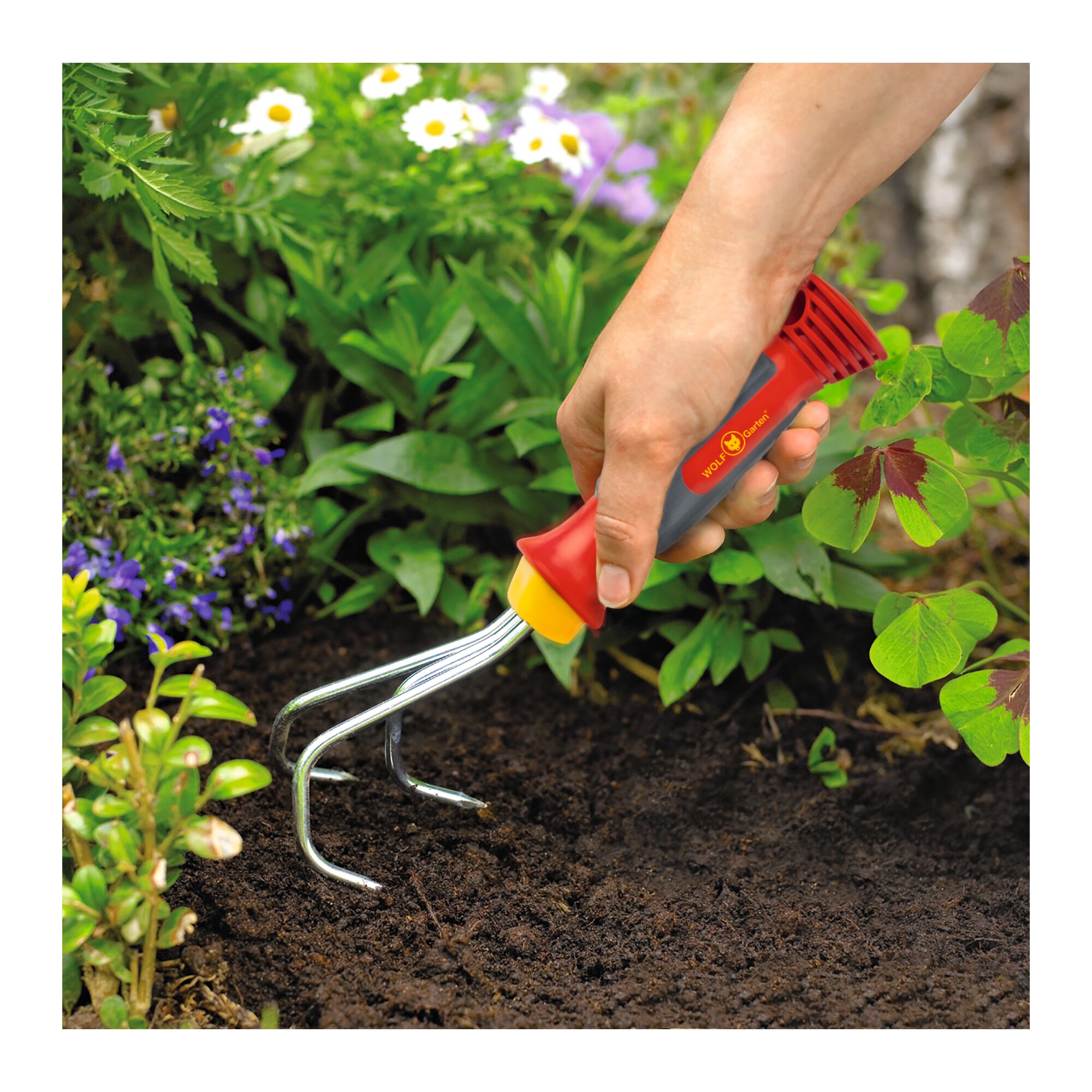 A hand using a WOLF-Garten gardening tool with a red and yellow handle to cultivate soil in a flower bed.