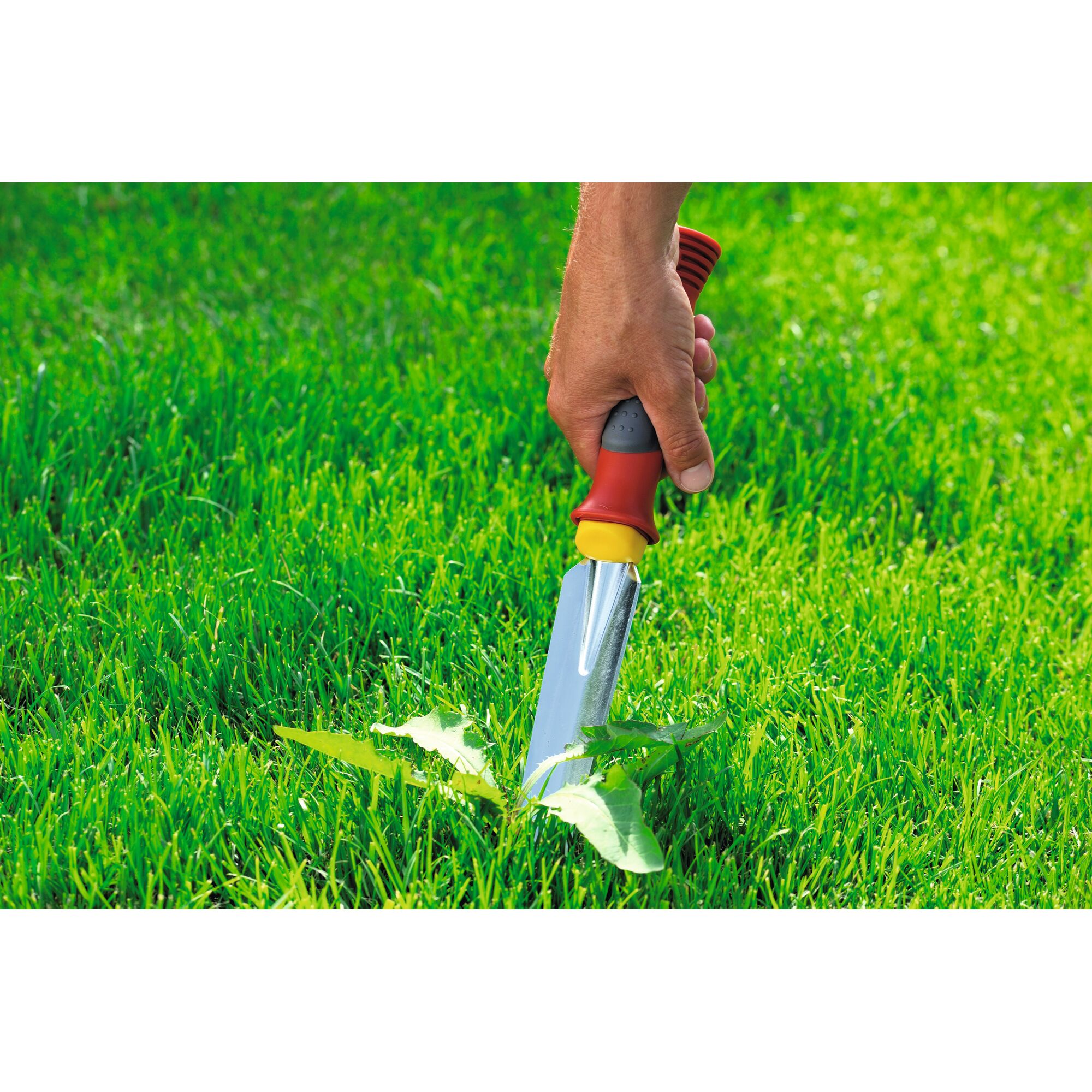 A hand using a WOLFGarten gardening tool with a red and yellow handle to remove a weed from green grass.
