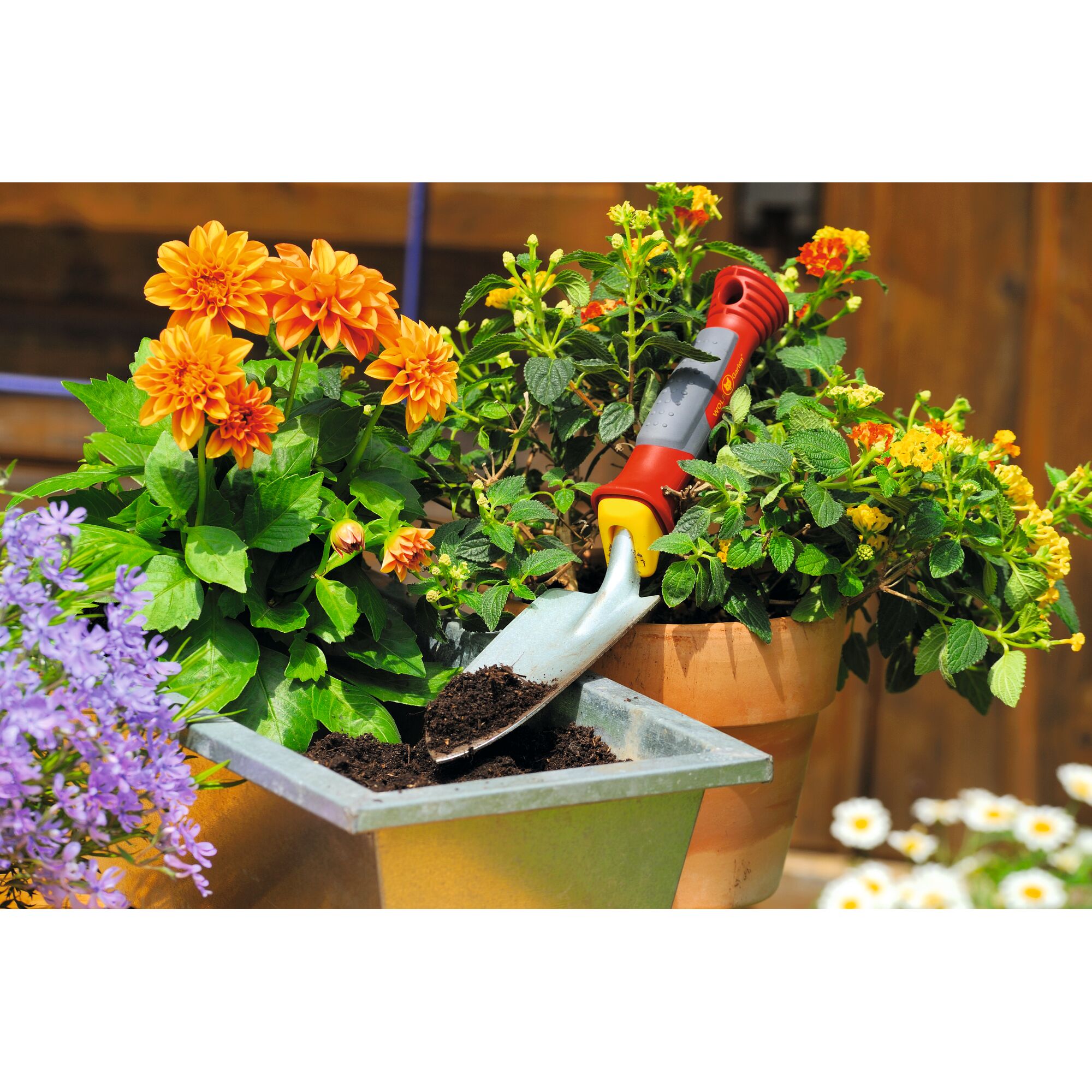 A gardening trowel with a red and yellow handle is placed in a flower pot filled with green plants and orange blossoms. The trowel is scooping soil into a metal container surrounded by various blooming flowers.