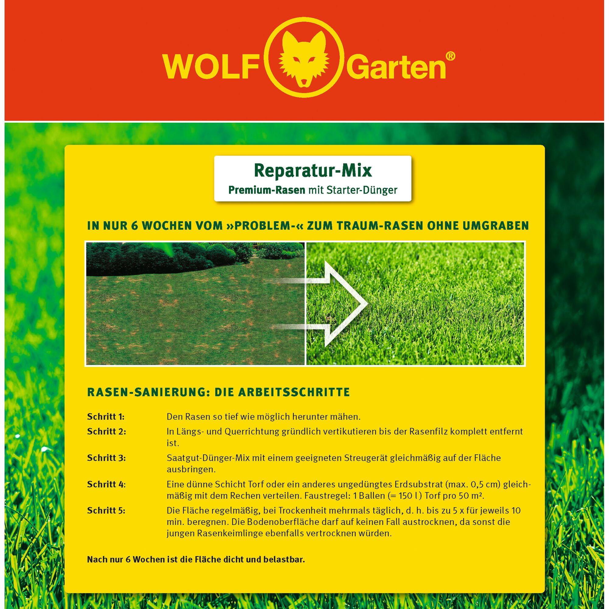 Image of a WOLFGarten product advertisement for 'Reparatur-Mix', a premium lawn repair mix with starter fertilizer. The ad features a split photo showing a before and after comparison of a damaged lawn and a lush, green lawn. The text describes the lawn restoration steps and emphasizes that in just 6 weeks the area becomes dense and resilient, without the need for digging. Instructions for use are written in German.