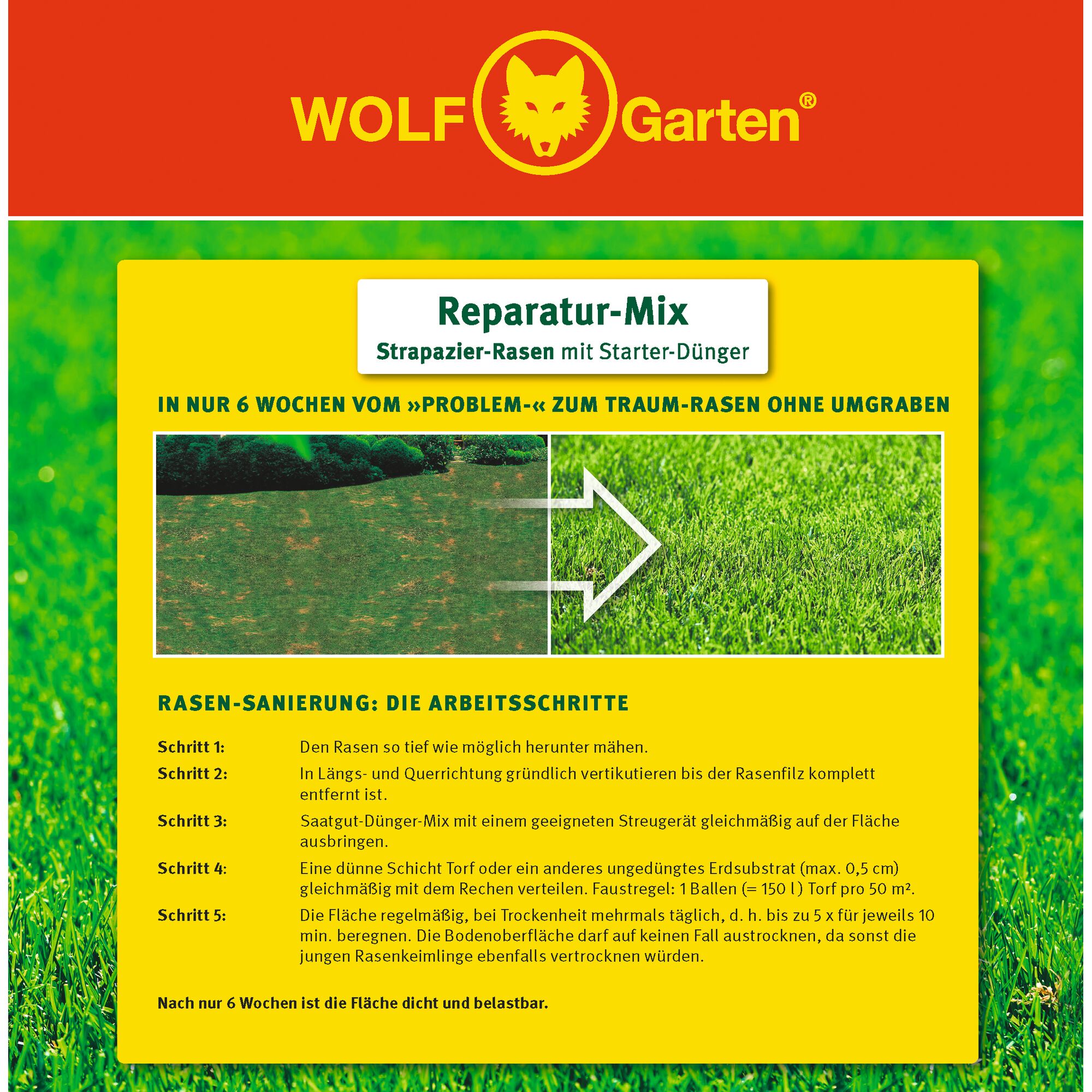 WOLF Garten Reparatur-Mix product packaging. The product is for lawn repair with starter fertilizer, aimed at creating durable lawns. The packaging shows a before and after image of damaged grass transformed into lush green turf in 6 weeks. Instructions for lawn revitalization steps are detailed in German.