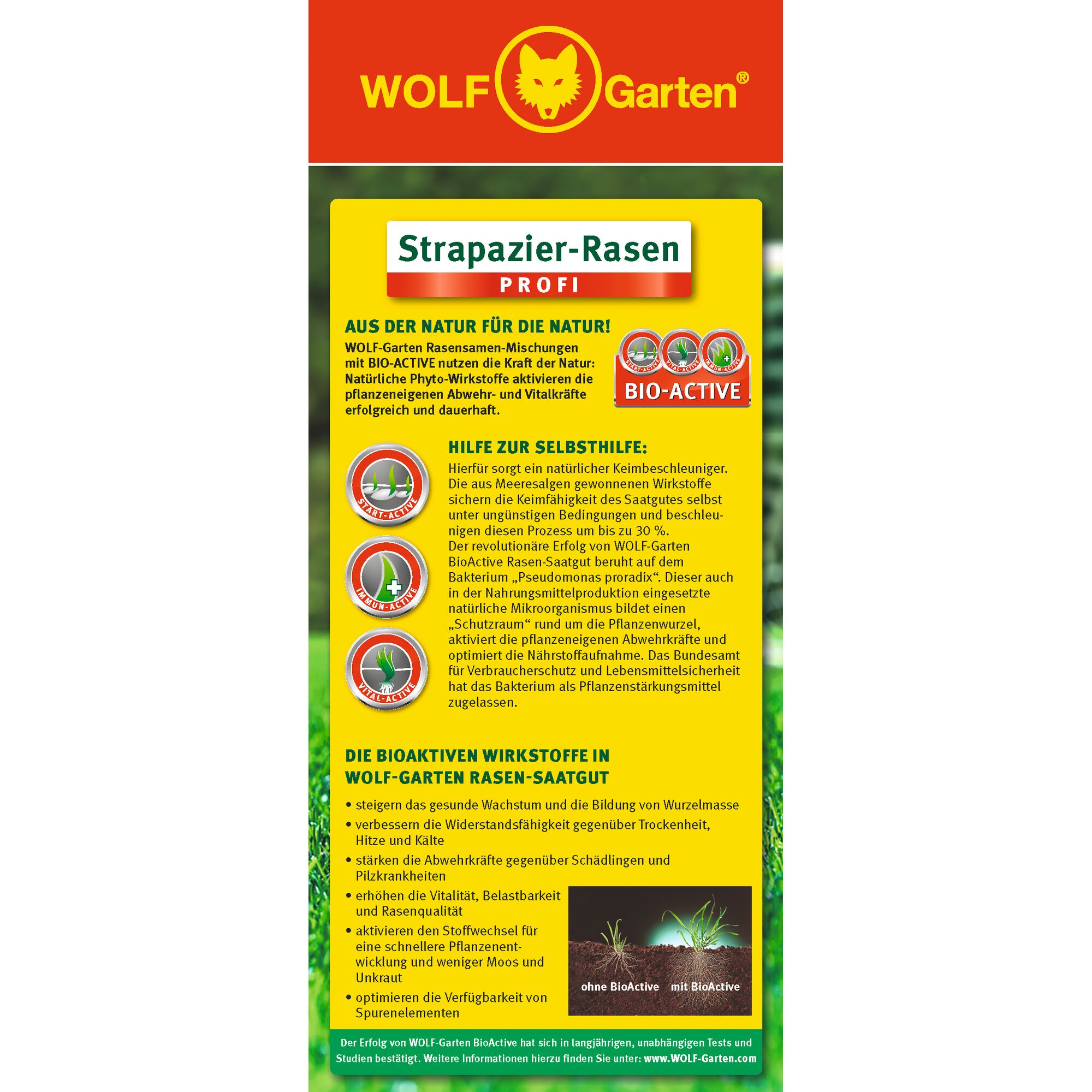The image shows the packaging of WOLF-Garten 'Strapazier-Rasen' (Durable Lawn) Profi lawn seed mix. The packaging is red and green with the WOLF-Garten logo at the top. It features yellow information panels describing the benefits of BIO-ACTIVE lawn seed, including improved germination, plant resilience, and vitality through natural phyto-ingredients and microorganisms. There are icons illustrating these benefits, and a comparison of seed with and without BioActive.