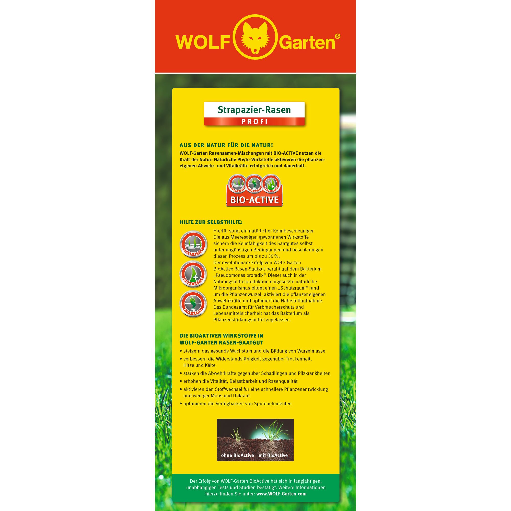 Vertical product packaging for WOLF-Garten featuring 'Strapazier-Rasen PROF' grass seed mix, highlighted for its BIO-ACTIVE formula. The packaging is bright yellow and red, with descriptive text explaining the bio-active benefits for lawn care, including improved germination, resistance, and nutrient uptake. Icons illustrate advantages such as faster growth, resilience to drought, and disease resistance. There is a comparison image at the bottom showing grass with and without bio-active ingredients.