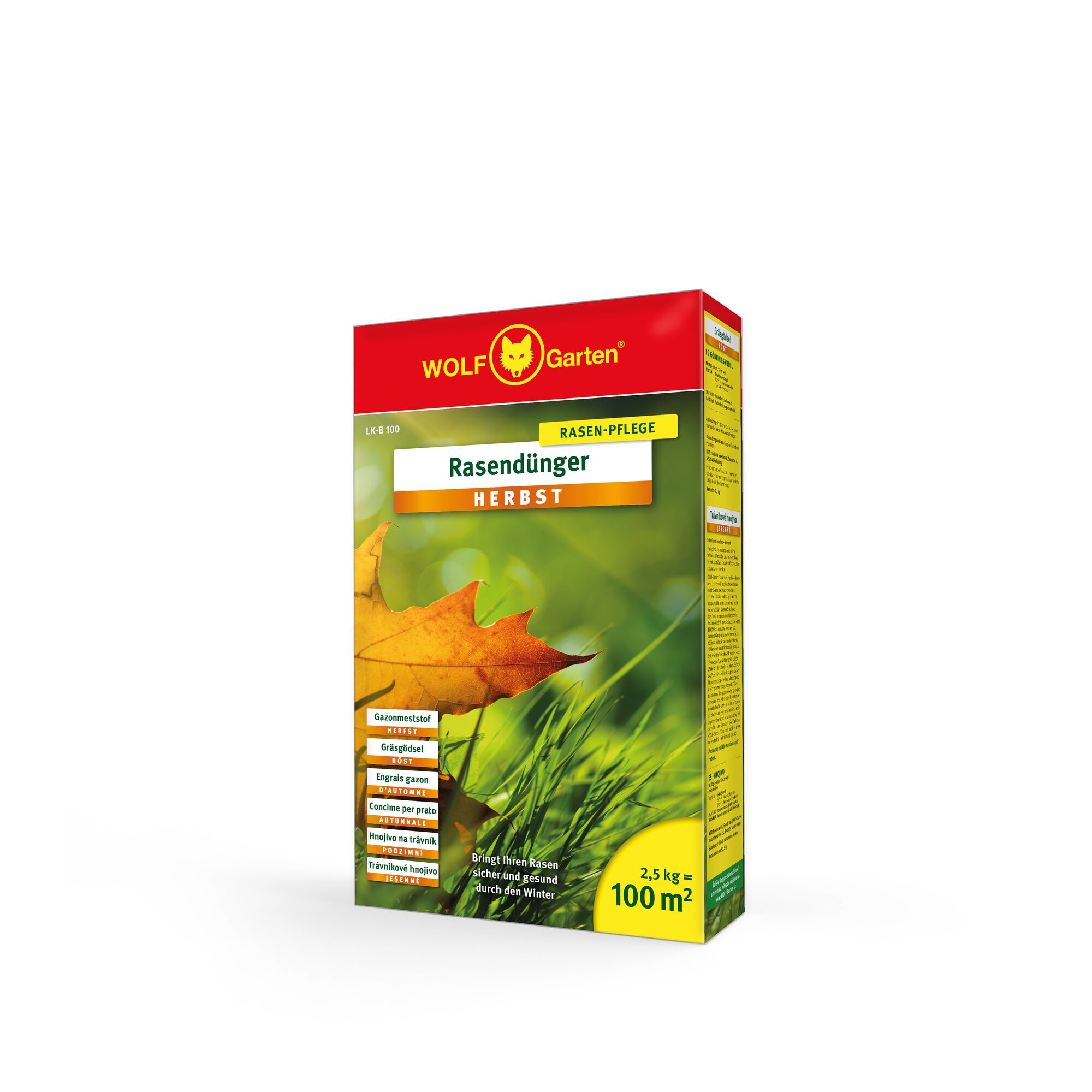 Box of WOLF Garten autumn lawn fertilizer, LK 8 100, 2.5 kg for 100 m², with autumn leaf and grass imagery on the packaging.