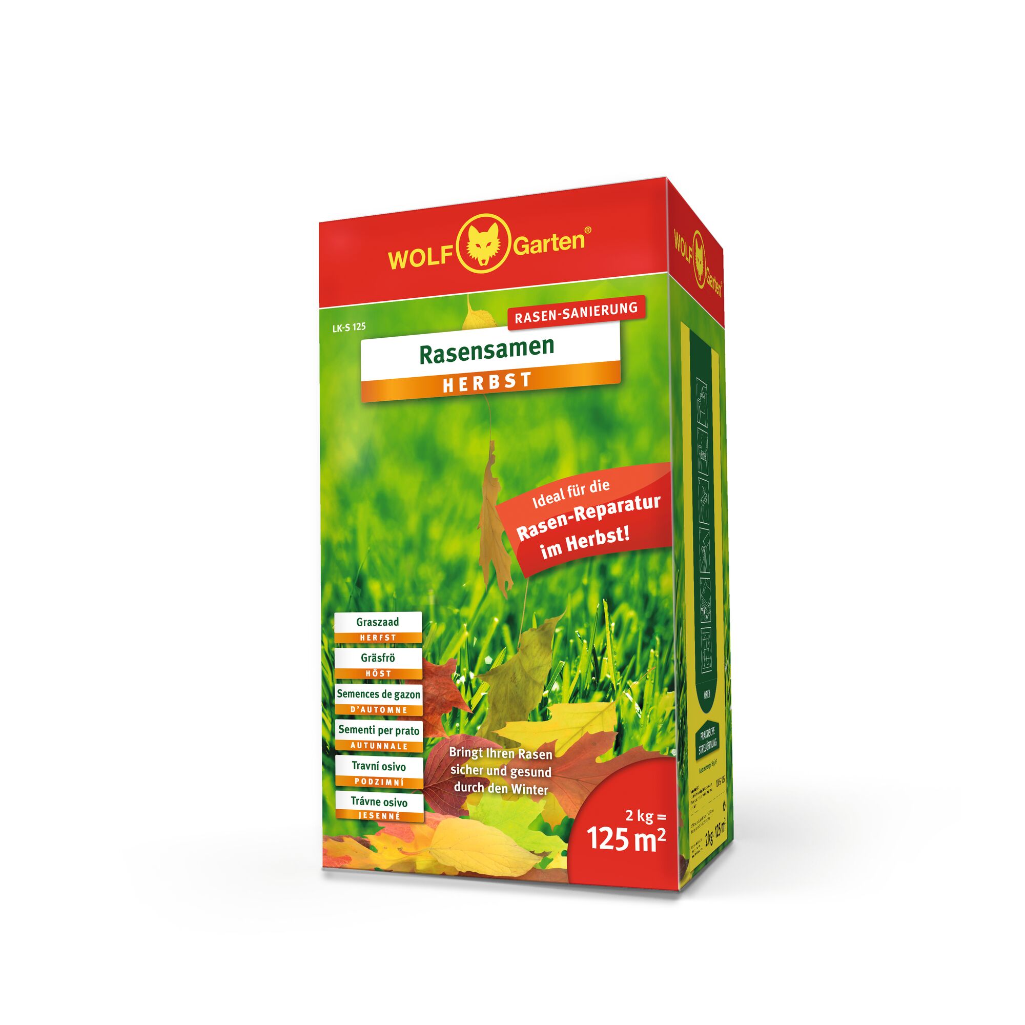 A box of WOLF-Garten lawn autumn grass seed for lawn repair, labeled 'Rasensamen HERBST', designed for coverage of up to 125 square meters, weighing 2 kg. The box features autumn leaves and green grass, with multilingual descriptions and bold red and yellow branding.