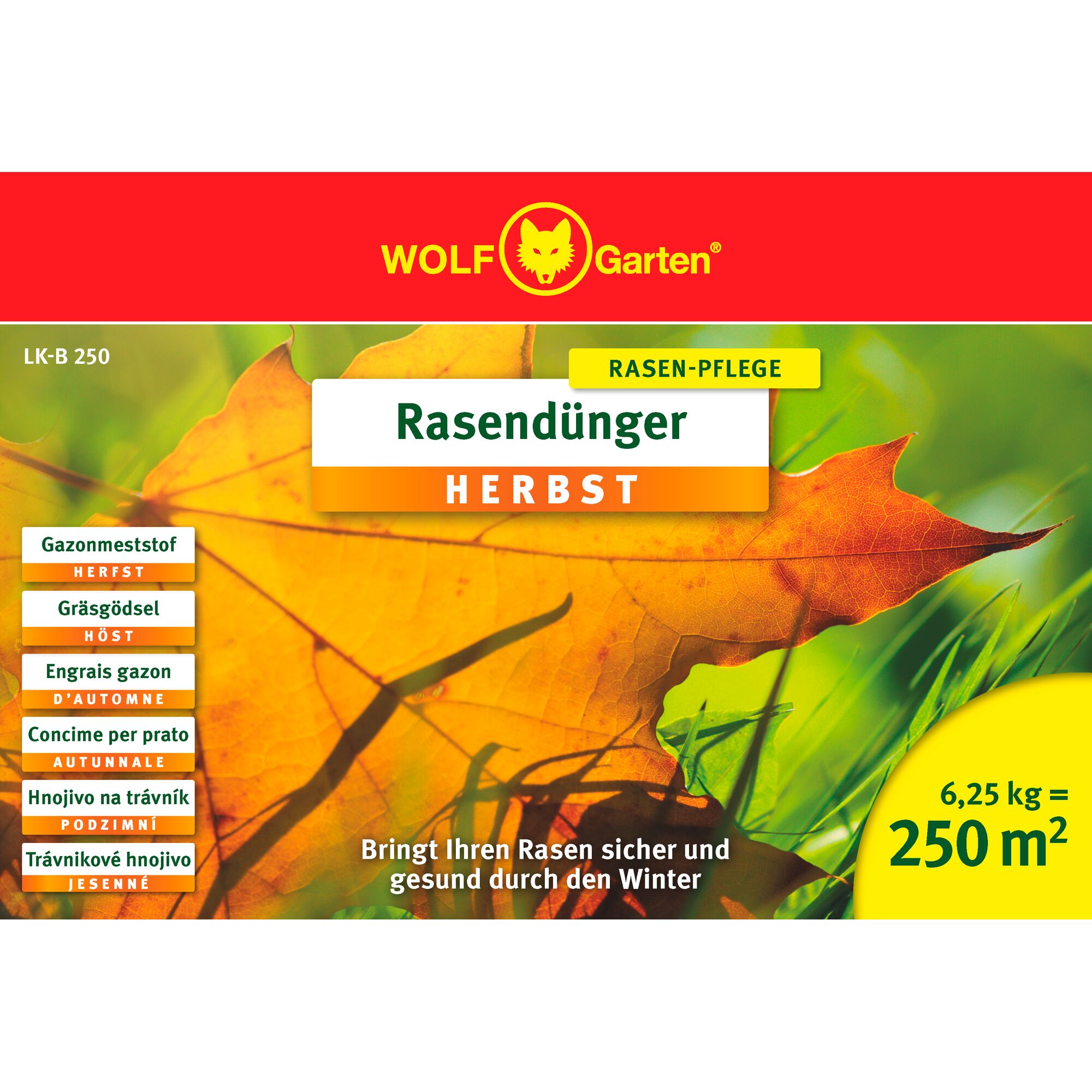 Product packaging for WOLF-Garten Autumn Lawn Fertilizer, showing a close-up of a yellow autumn leaf and green grass. The package includes multilingual descriptions and covers 250 square meters with 6.25 kg. The WOLF-Garten logo is present at the top.