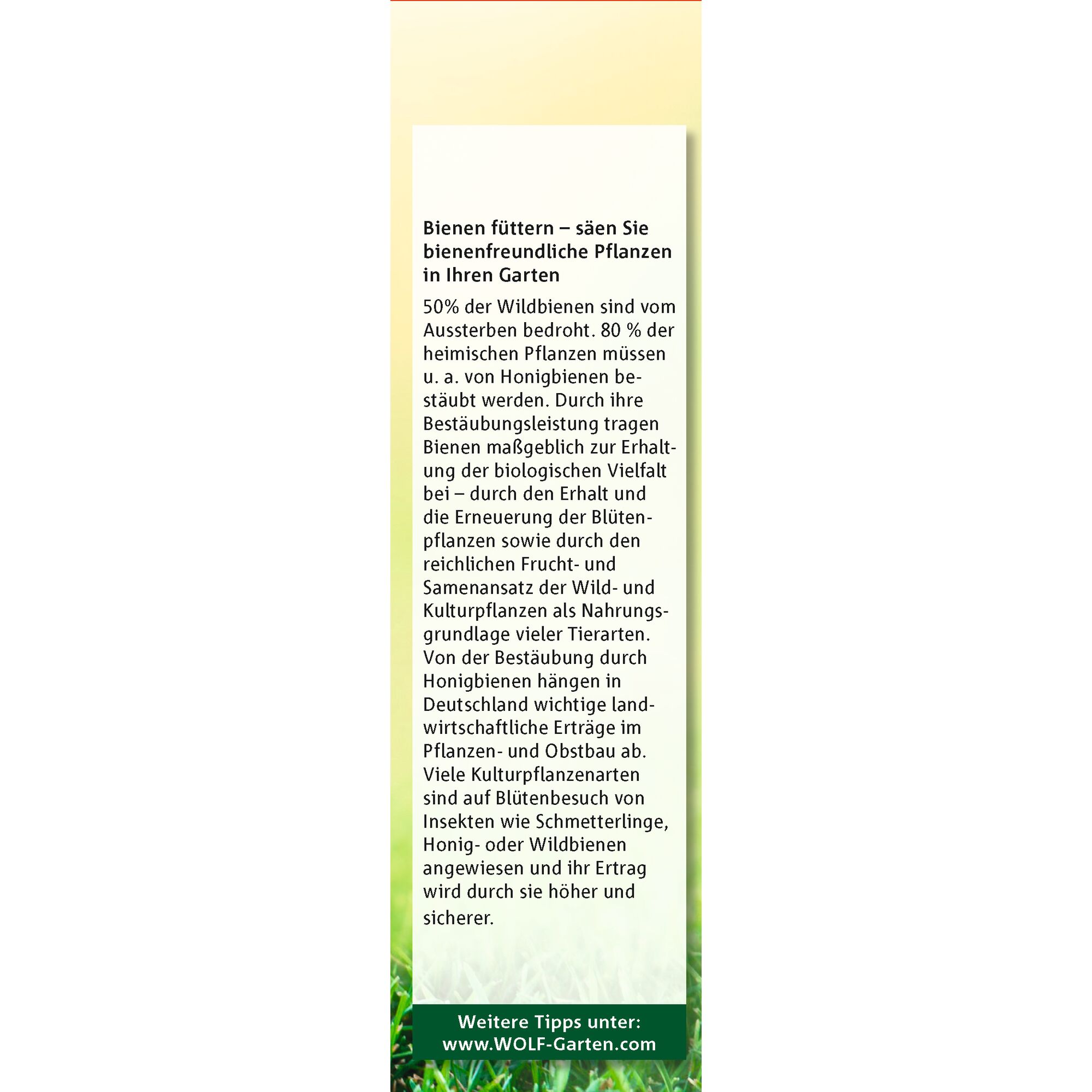 A rectangular card with a yellow-tinted background containing information in German about feeding bees by growing bee-friendly plants in your garden. The text explains the importance of pollination by bees for maintaining biological diversity and agricultural yields. At the bottom, there's a green section with white text directing to www.WOLF-Garten.com for further tips.