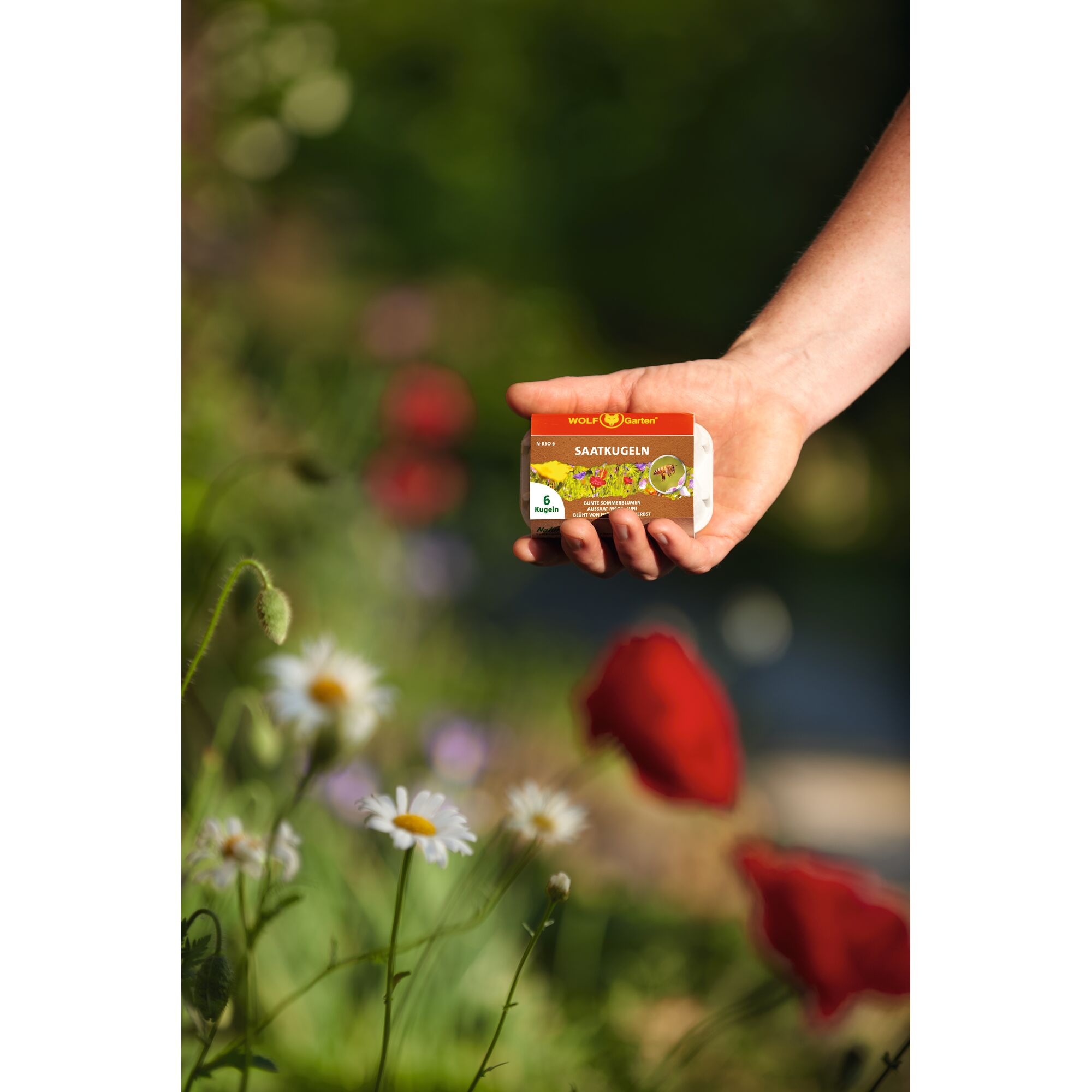 A hand holding a WOLF-Garten box of seed balls (Saatkugeln) with wildflowers in a garden background.