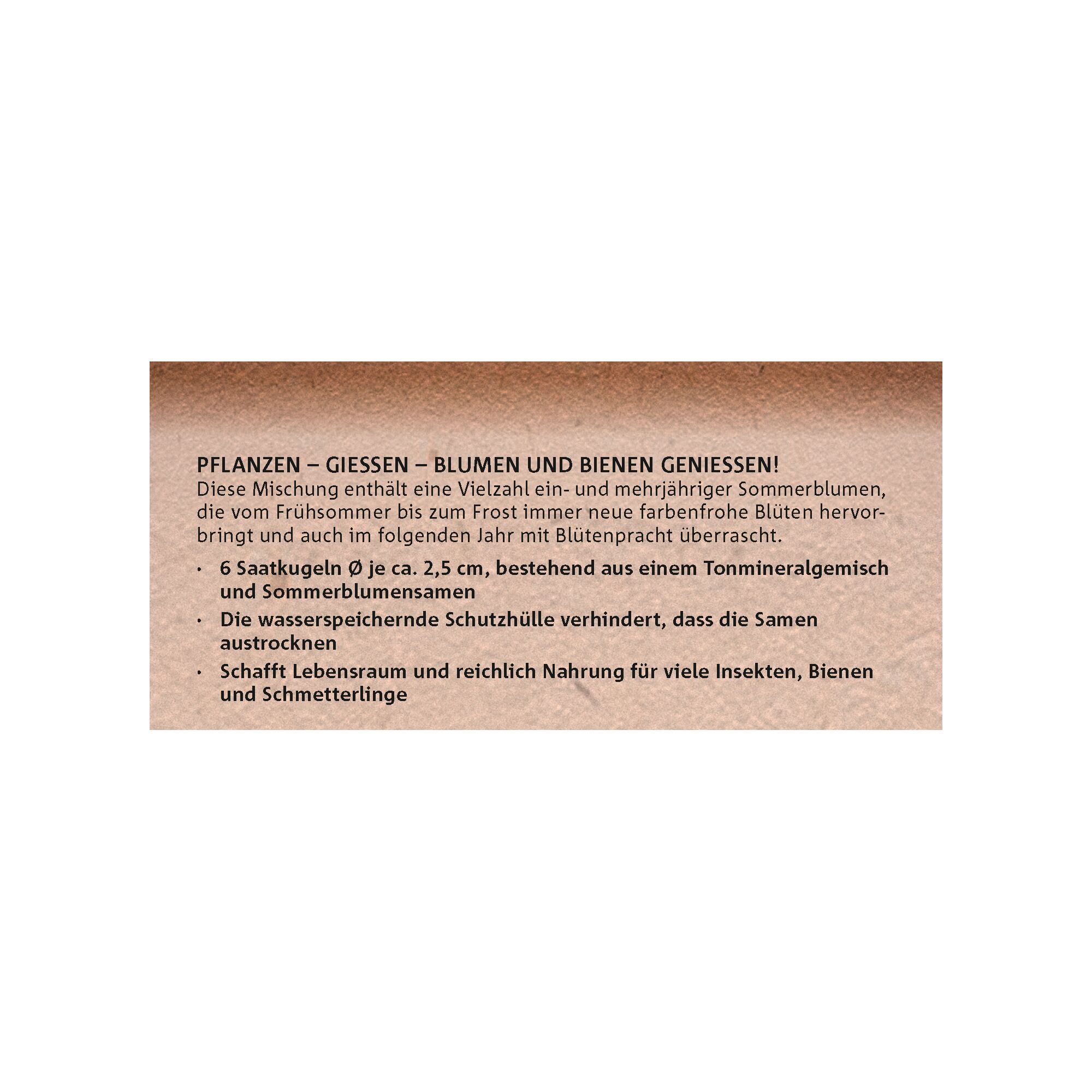 Close-up of a product package featuring text in German describing seed balls containing annual and perennial summer flower seeds. The package highlights benefits such as water-retaining protective shell, habitat creation, and nourishment for insects, bees, and butterflies.