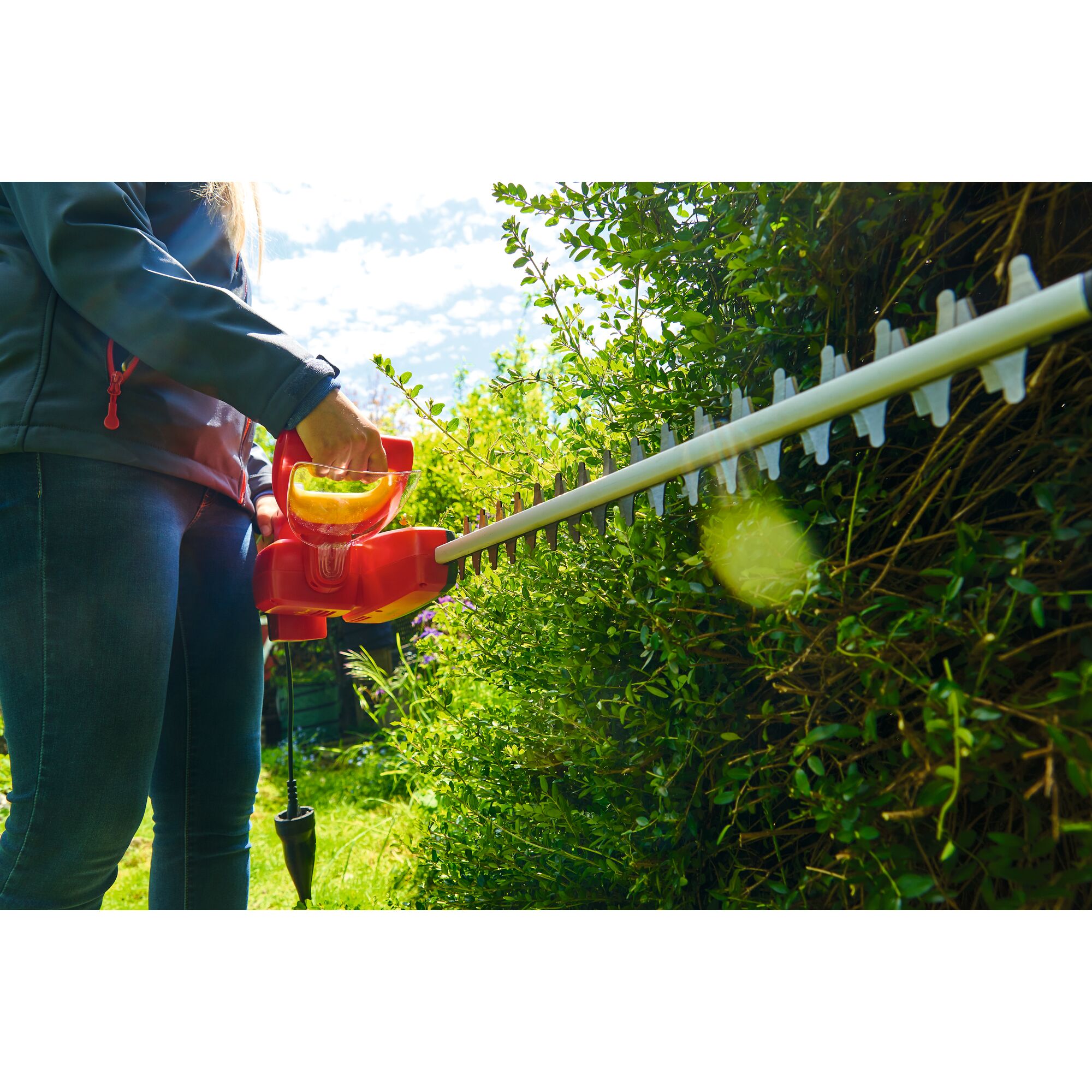 A person using a WOLF-Garten electric hedge trimmer to cut green bushes in a garden on a sunny day.