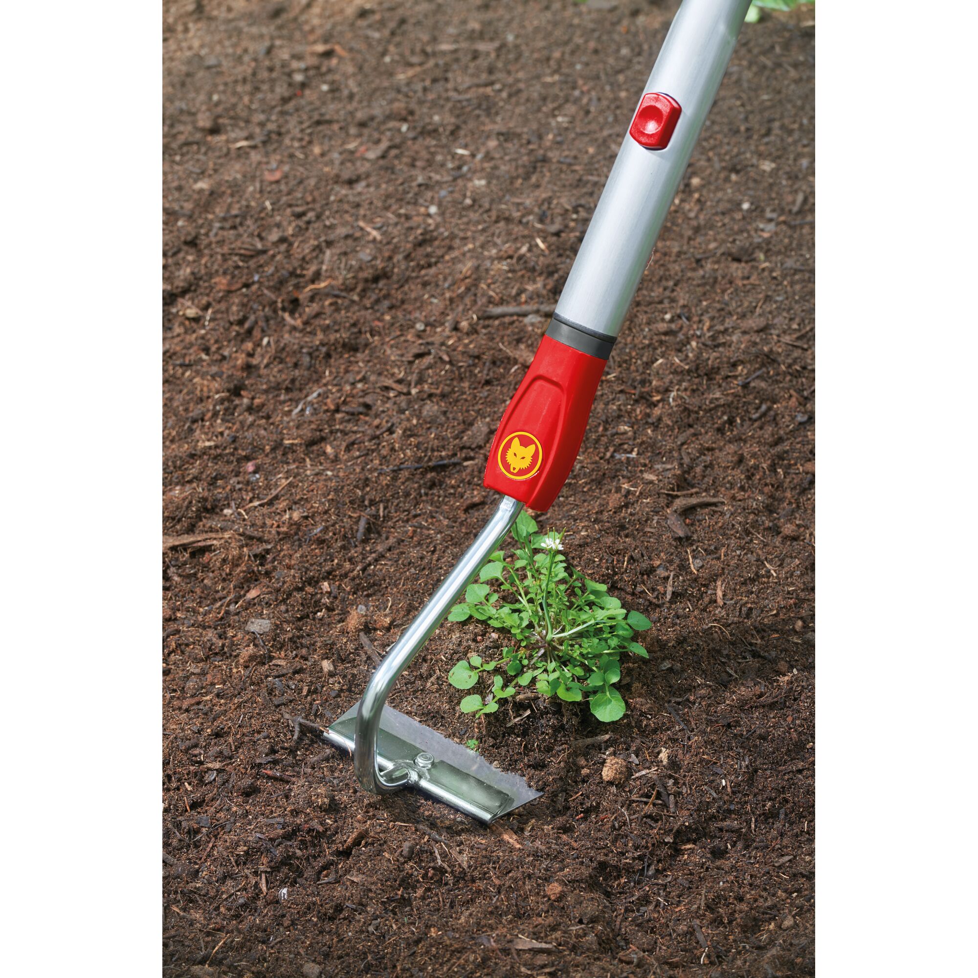 A close-up of a WOLFGarten gardening tool with a red and silver handle being used to remove weeds from soil in a garden.