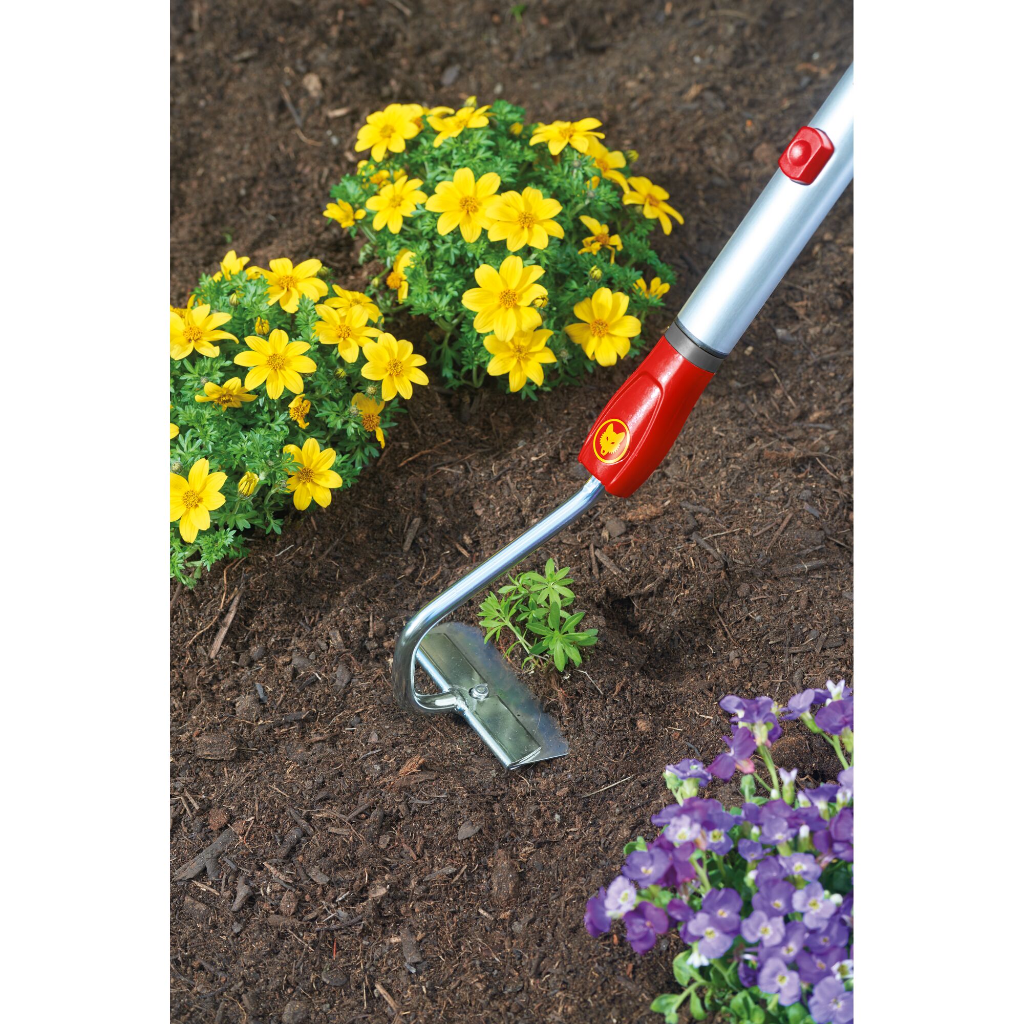 A WOLFGarten garden hoe with a red and silver handle is being used to cultivate soil in a flower bed, surrounded by yellow and purple flowers.