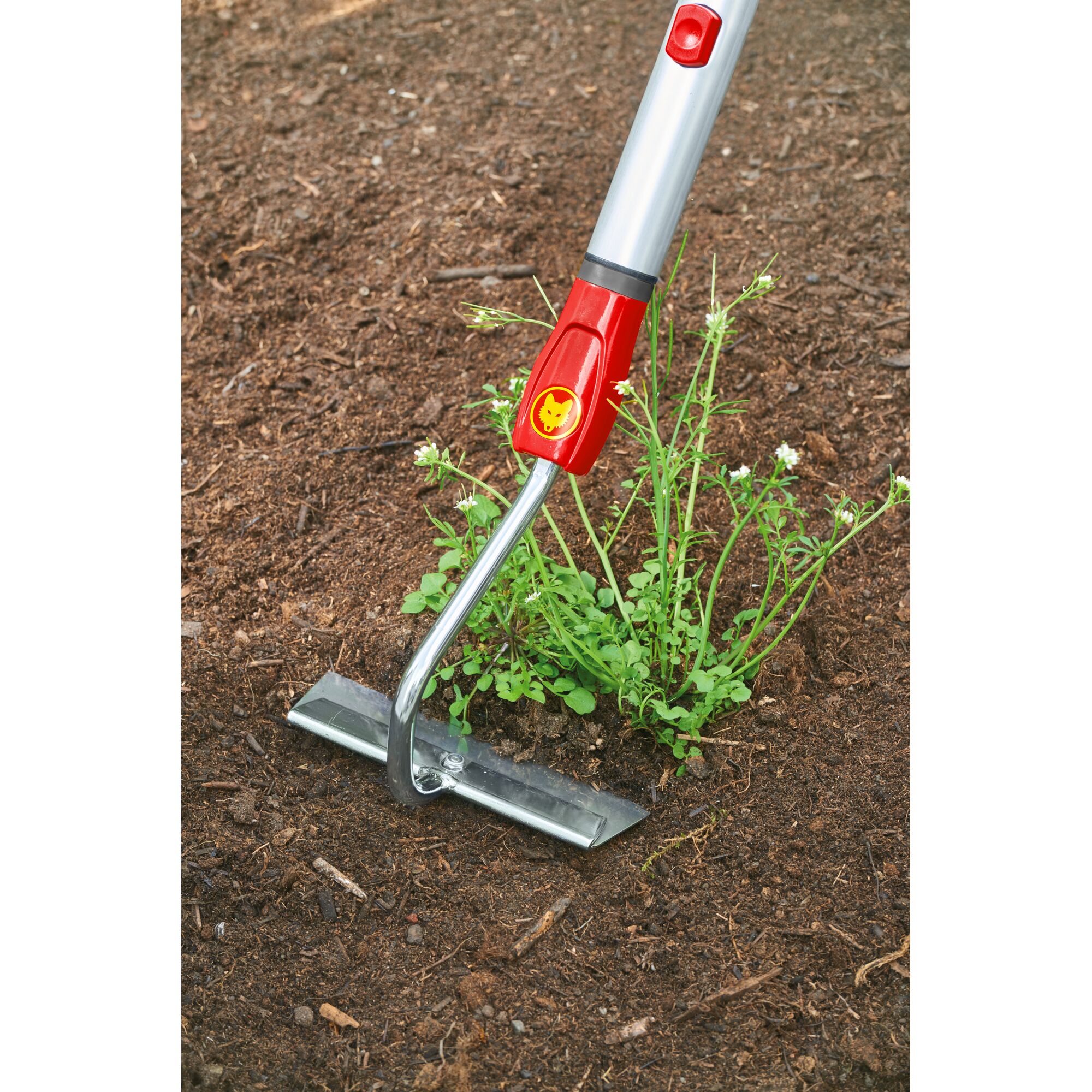 A WOLFGarten gardening tool with a metal blade and red handle is being used to remove weeds from soil.