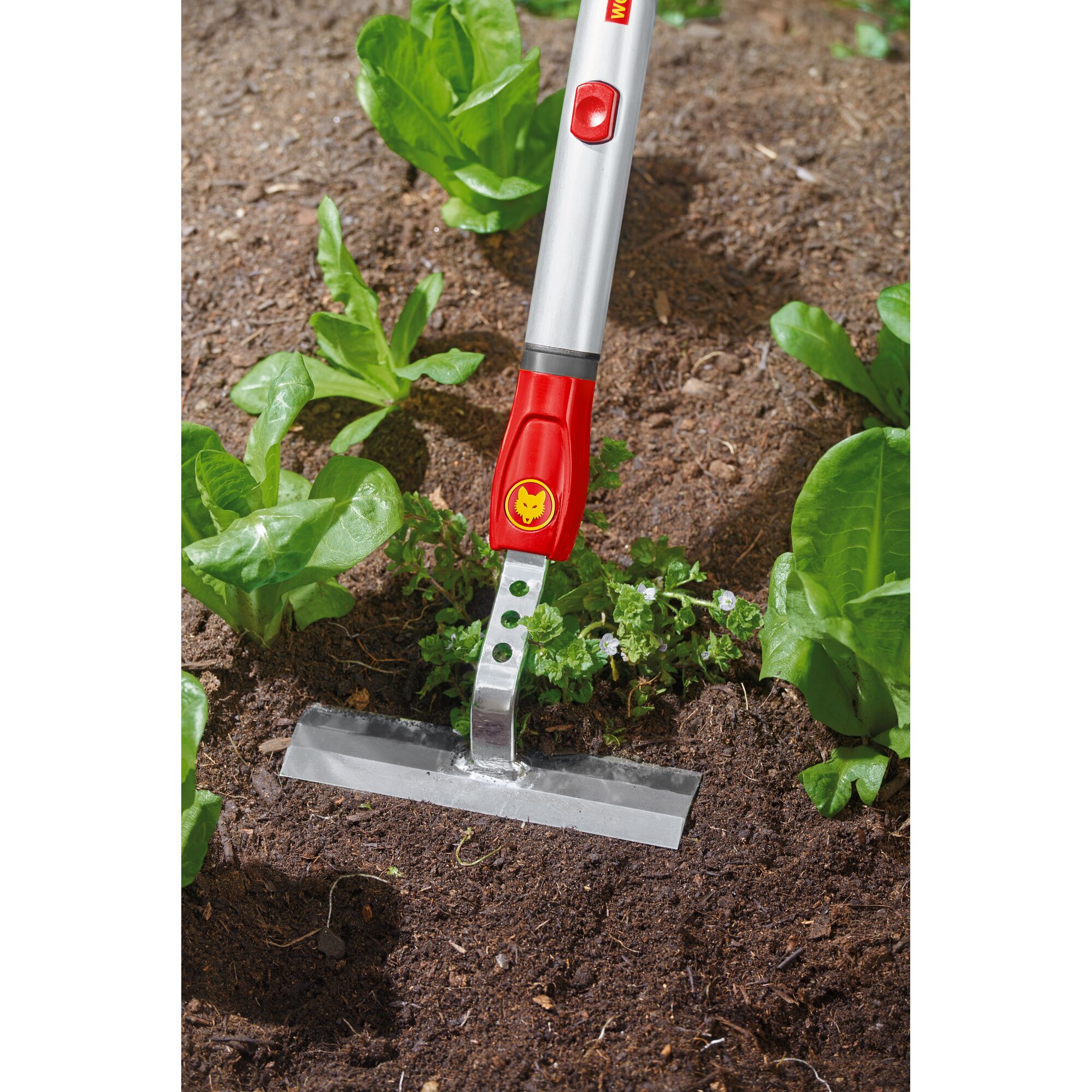 A WOLFGarten gardening tool with a silver blade and red handle is used to cultivate soil around green plants in a garden.