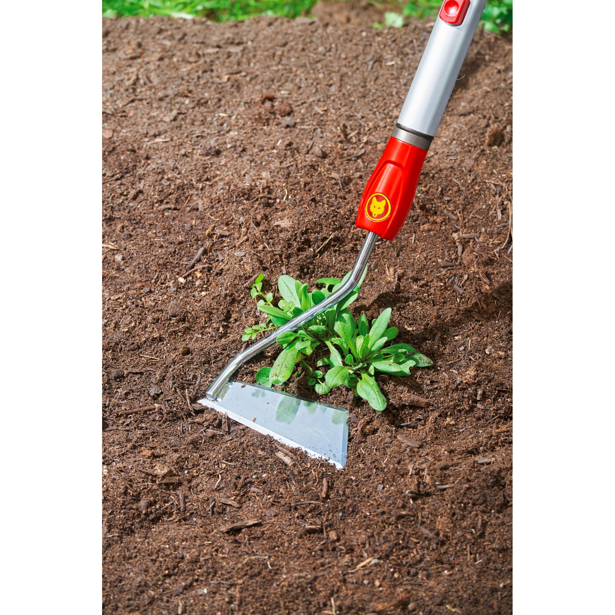 A WOLFGarten gardening tool with a red and silver handle is being used to remove weeds from soil.
