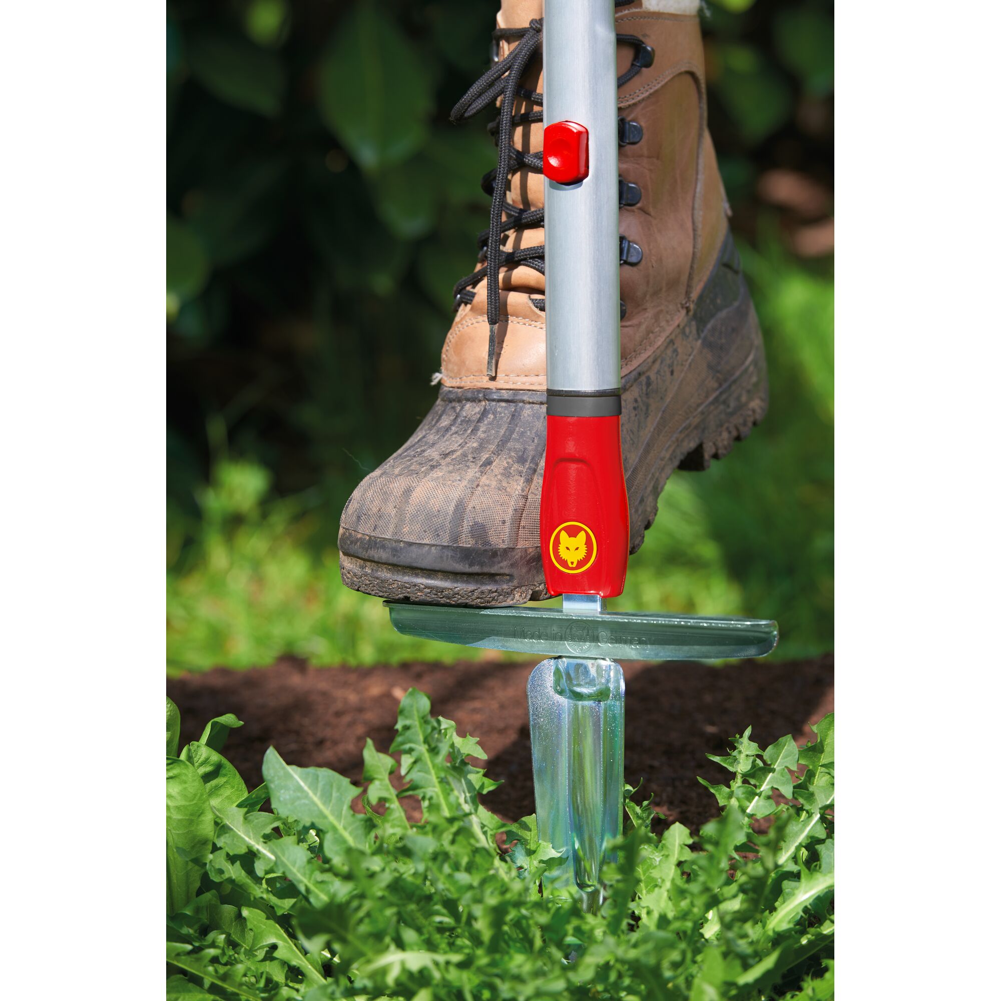 A close-up of a gardening tool with a red and yellow handle being used to remove weeds from the ground. The tool is being pressed into the soil with a boot, surrounded by green foliage.