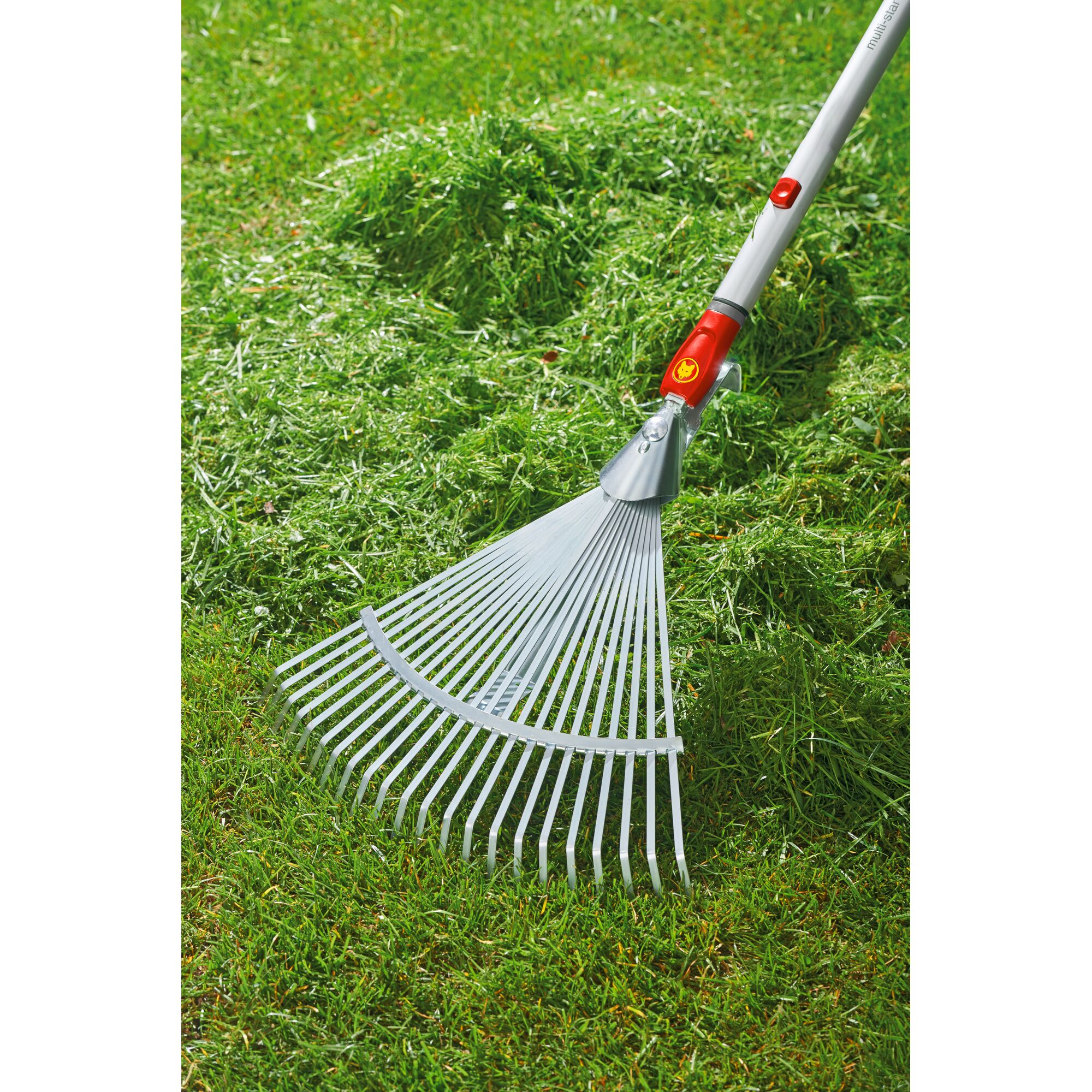 A garden rake with metal tines and a red and yellow connector is being used to gather freshly cut grass on a lawn.