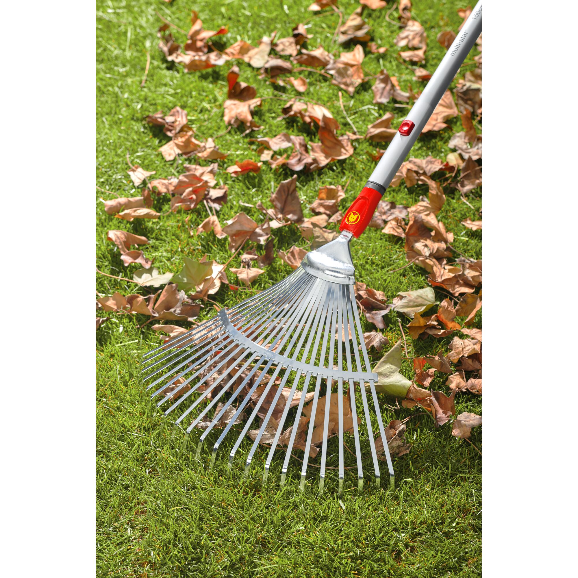 A metal leaf rake with a red and yellow handle is being used to gather dry leaves on a green lawn.