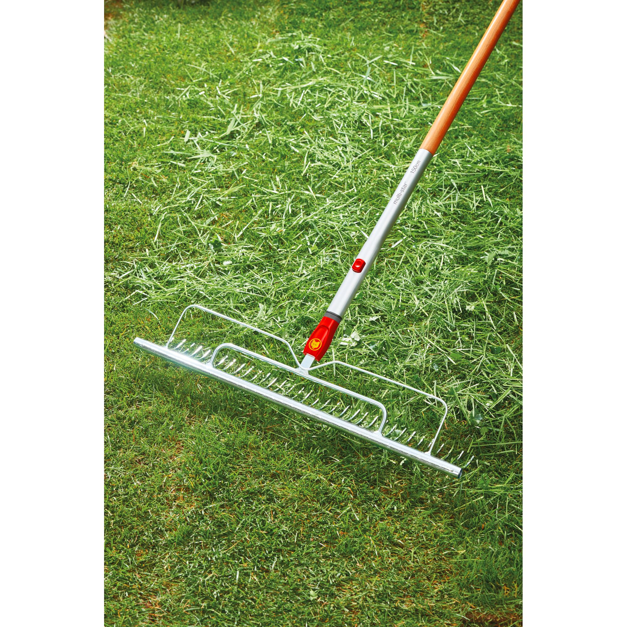 A metal garden rake with a wooden handle is being used to collect grass clippings on a lawn.