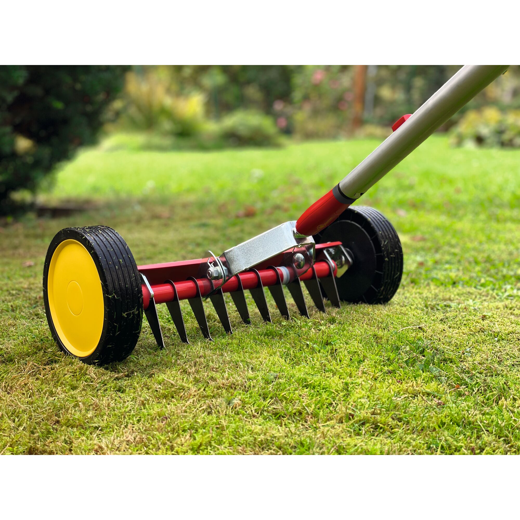 A close-up view of a manual lawn scarifier with yellow wheels, red frame, and metal blades, used for aerating and removing moss from grass, shown on a lawn in a garden setting.