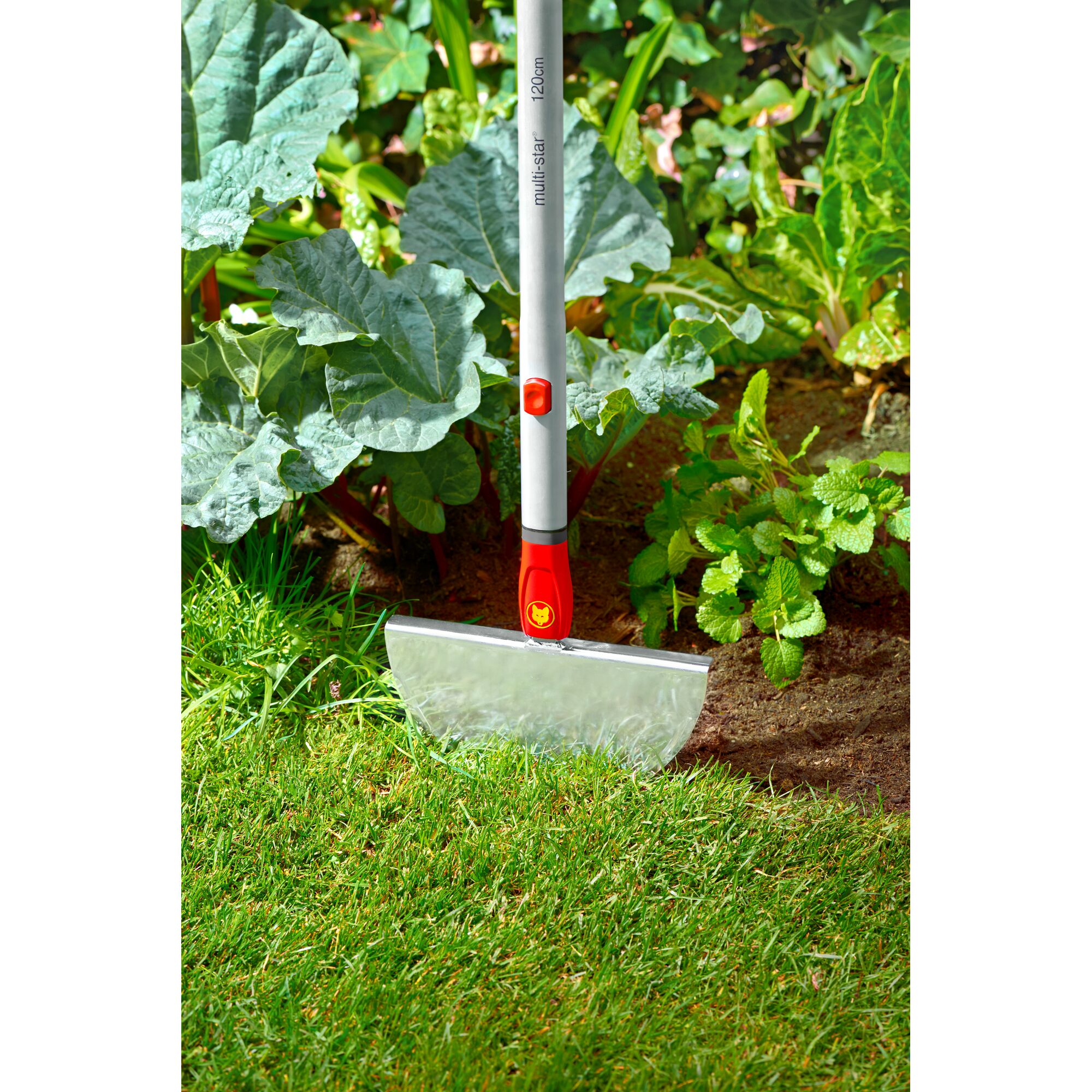 A gardening tool with a sharp metal blade and a long handle, used for edging between grass and garden beds. The tool is positioned with its blade separating the lawn from a soil area with plants. The handle has red and yellow detailing.