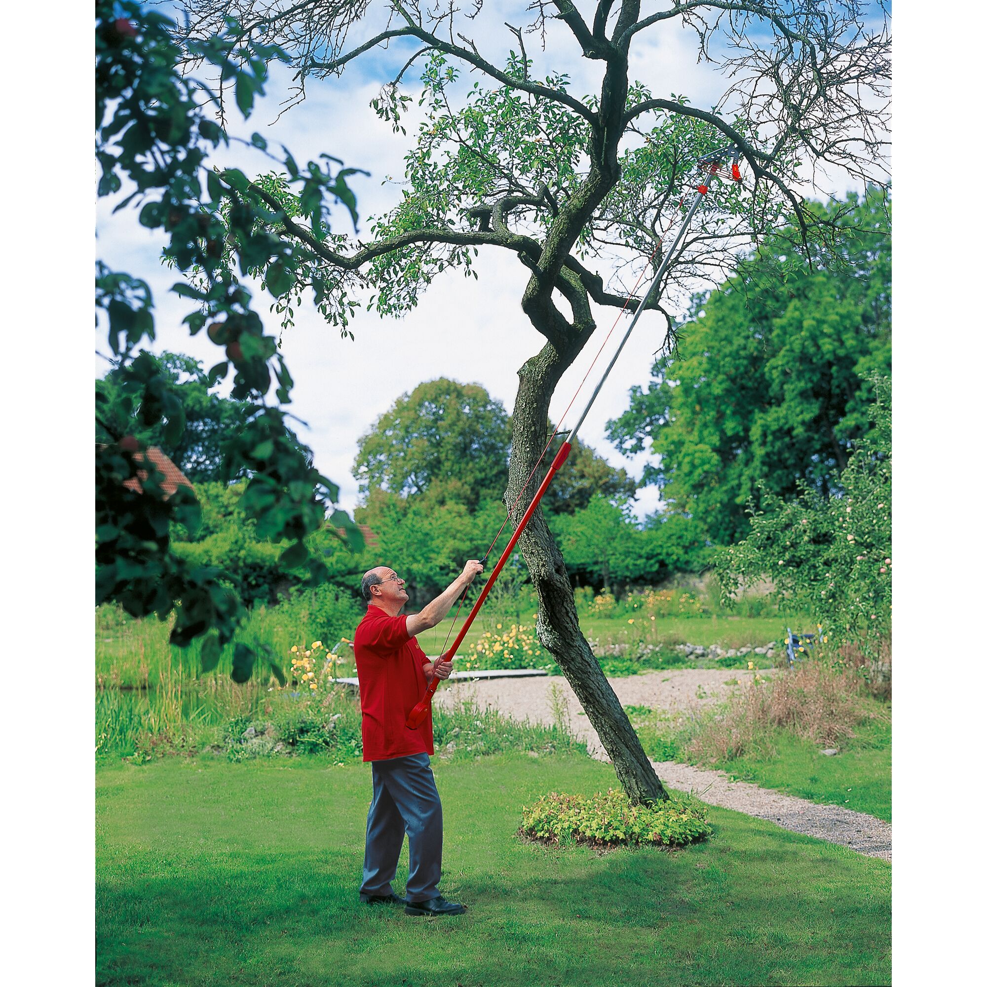 A person in a garden uses a long red-handled tool to prune branches from a tall tree. The surrounding area is green with grass, plants, and trees under a blue sky.