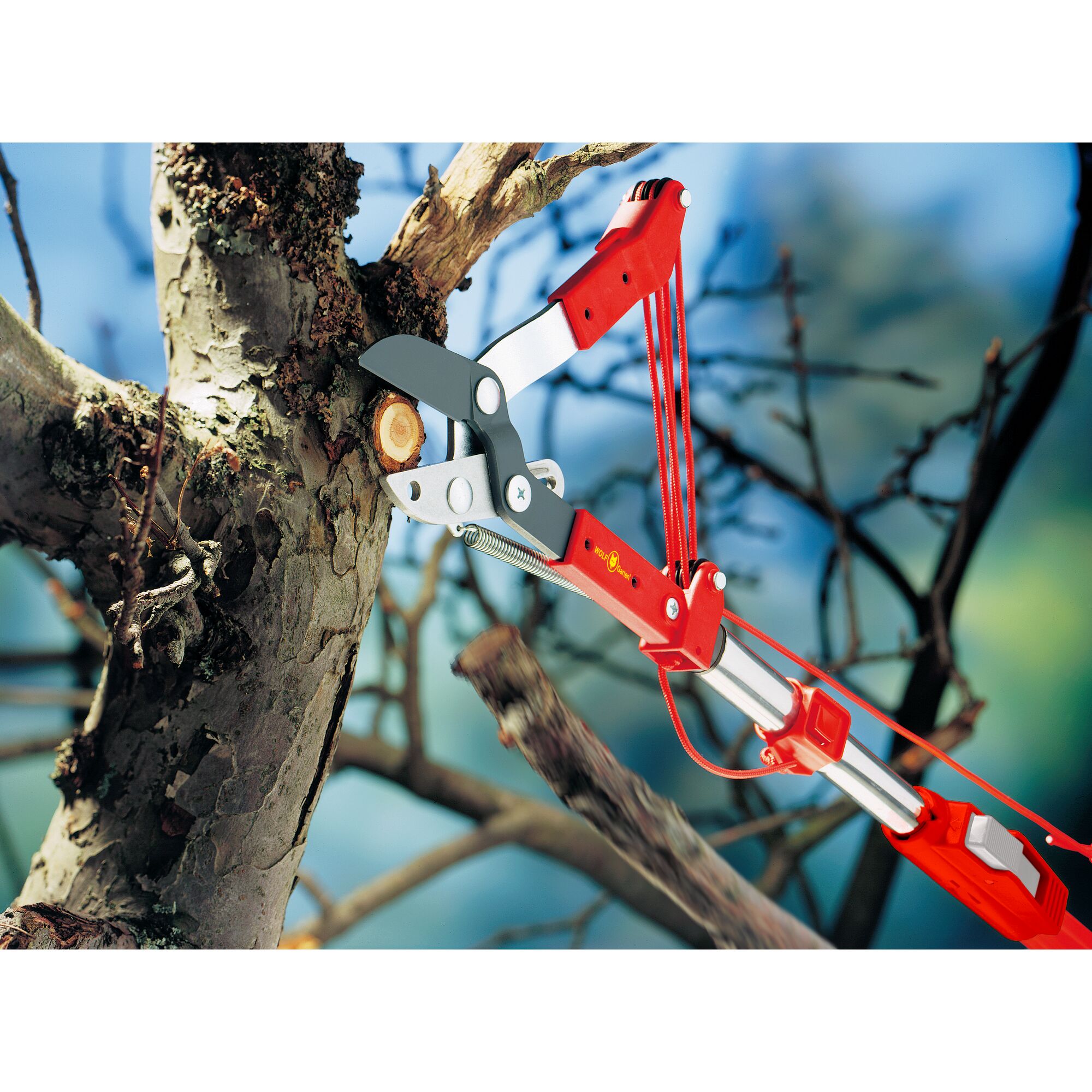 A close-up view of a red-handled tree pruner cutting a thick branch from a tree. The product features a telescopic pole and a rope mechanism for reaching high branches.