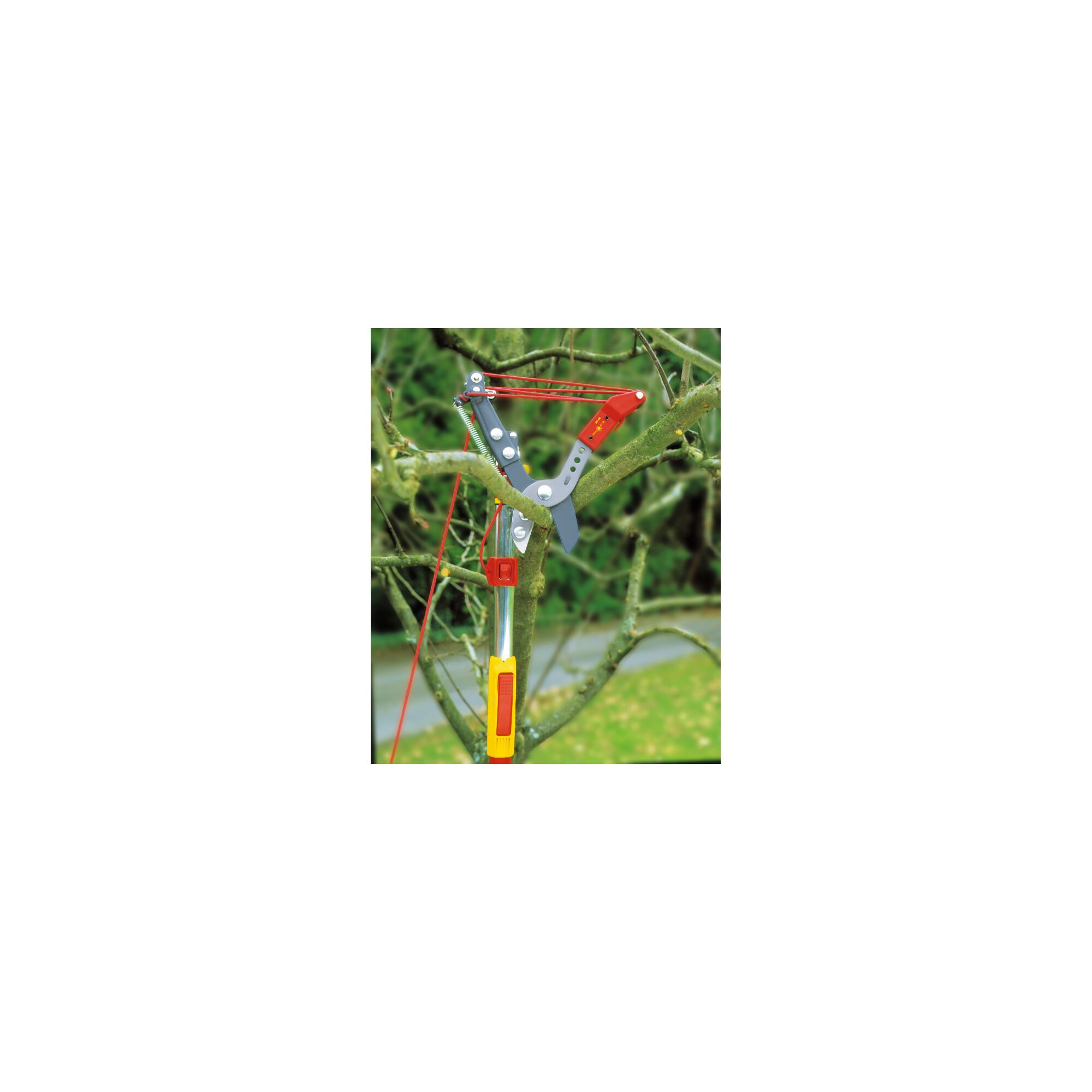 A tree branch pruner from WOLFGarten, attached to a branch outdoors. The pruner features a long pole and cutting mechanism operated by a red cord.