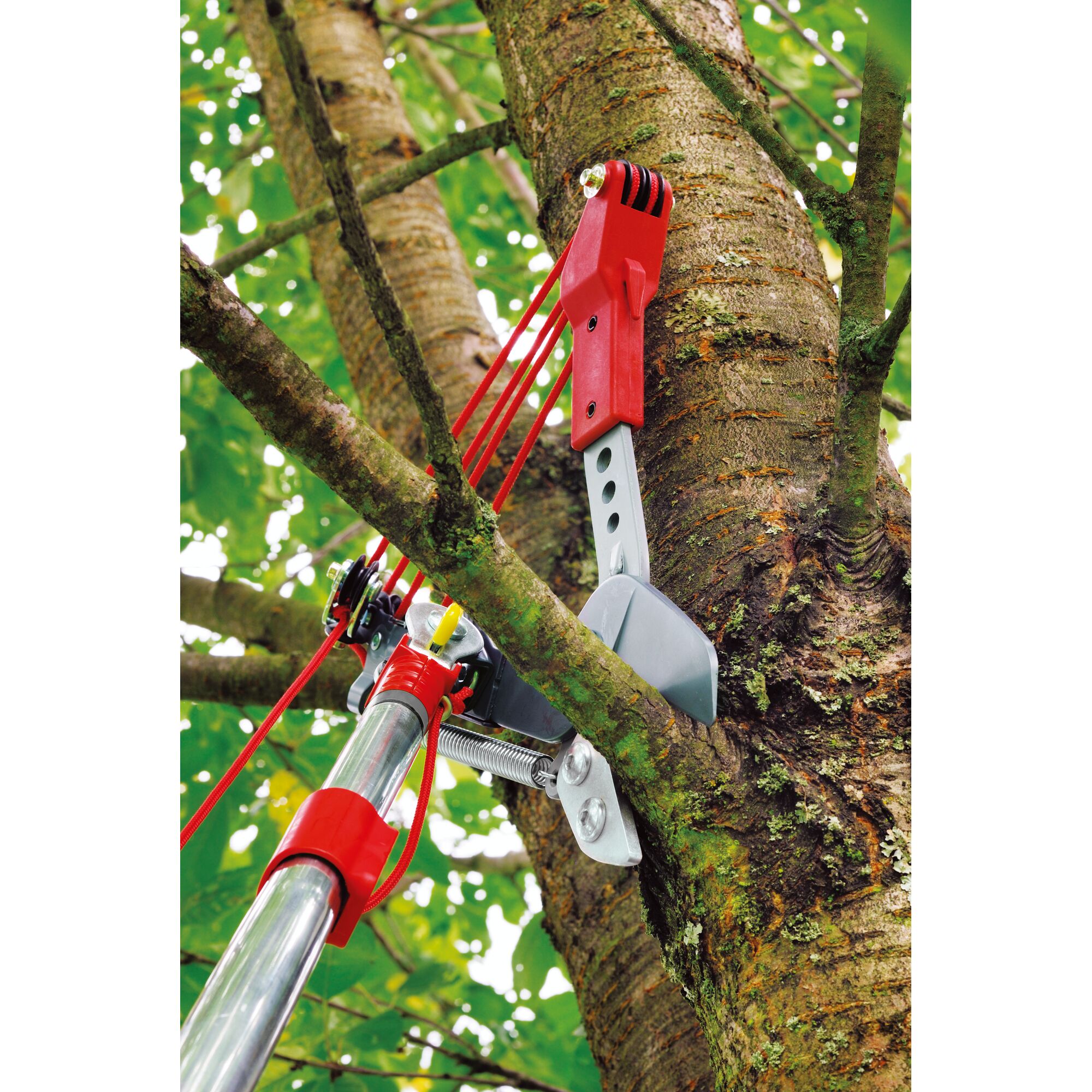 A close-up of a tree branch being pruned with a WOLFGarten pole tree pruner. The red and silver tool is attached to a long pole and is cutting a branch from the tree.