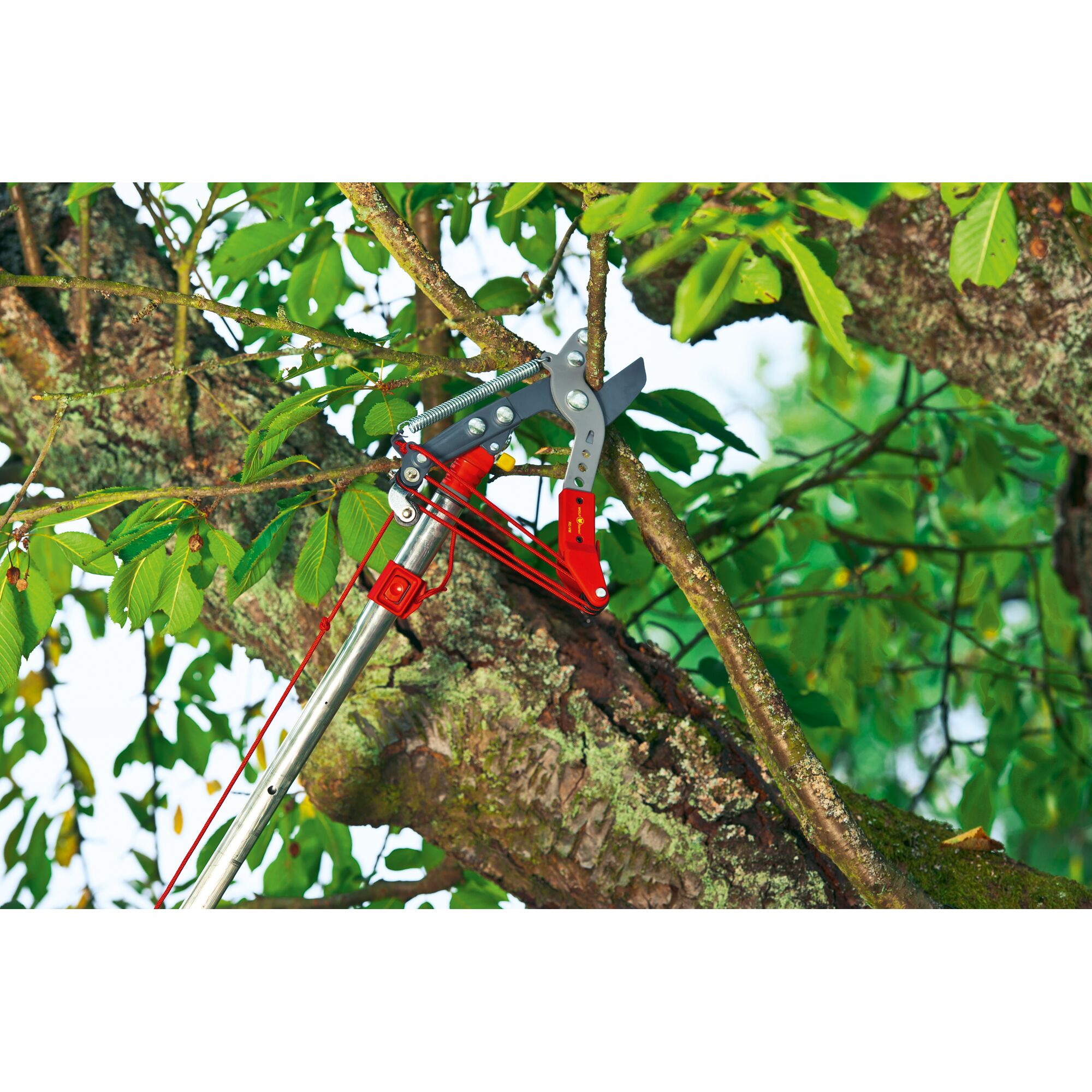A WOLFGarten pole pruner cutting a tree branch, surrounded by green leaves and tree bark.