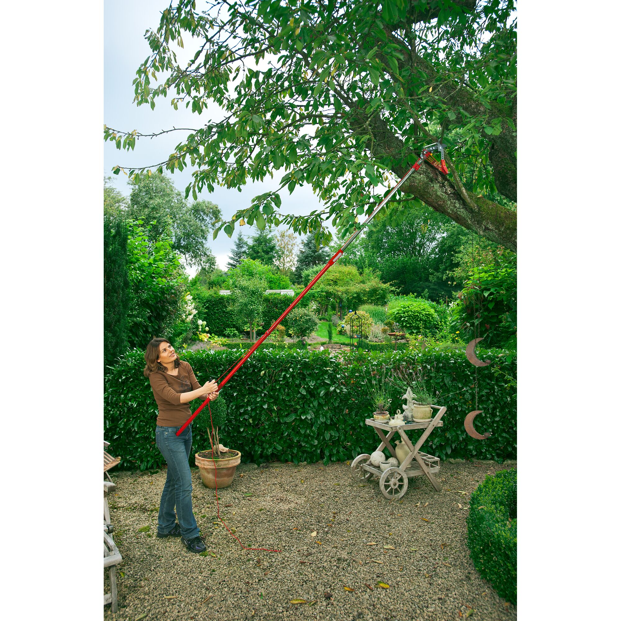 A person using a WOLFGarten telescopic pole with a pruning tool to trim branches on a tall tree in a garden. The person is standing on a gravel path and surrounded by lush greenery.
