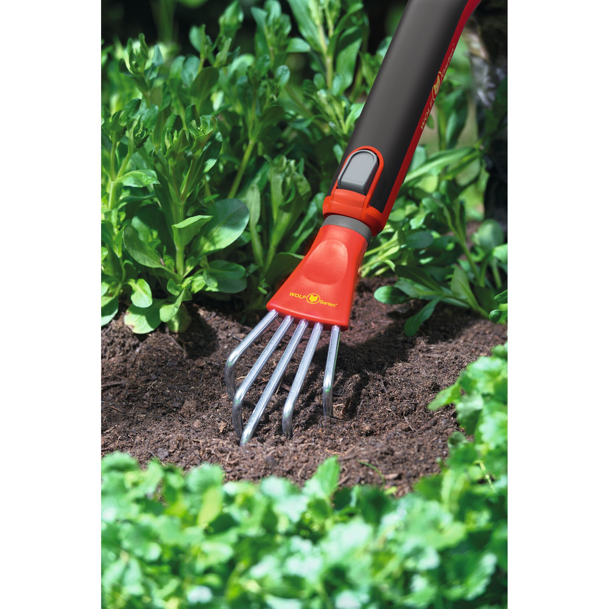 A WOLFGarten gardening hand tool with metal prongs and a red handle is being used to cultivate soil among green plants in a garden.