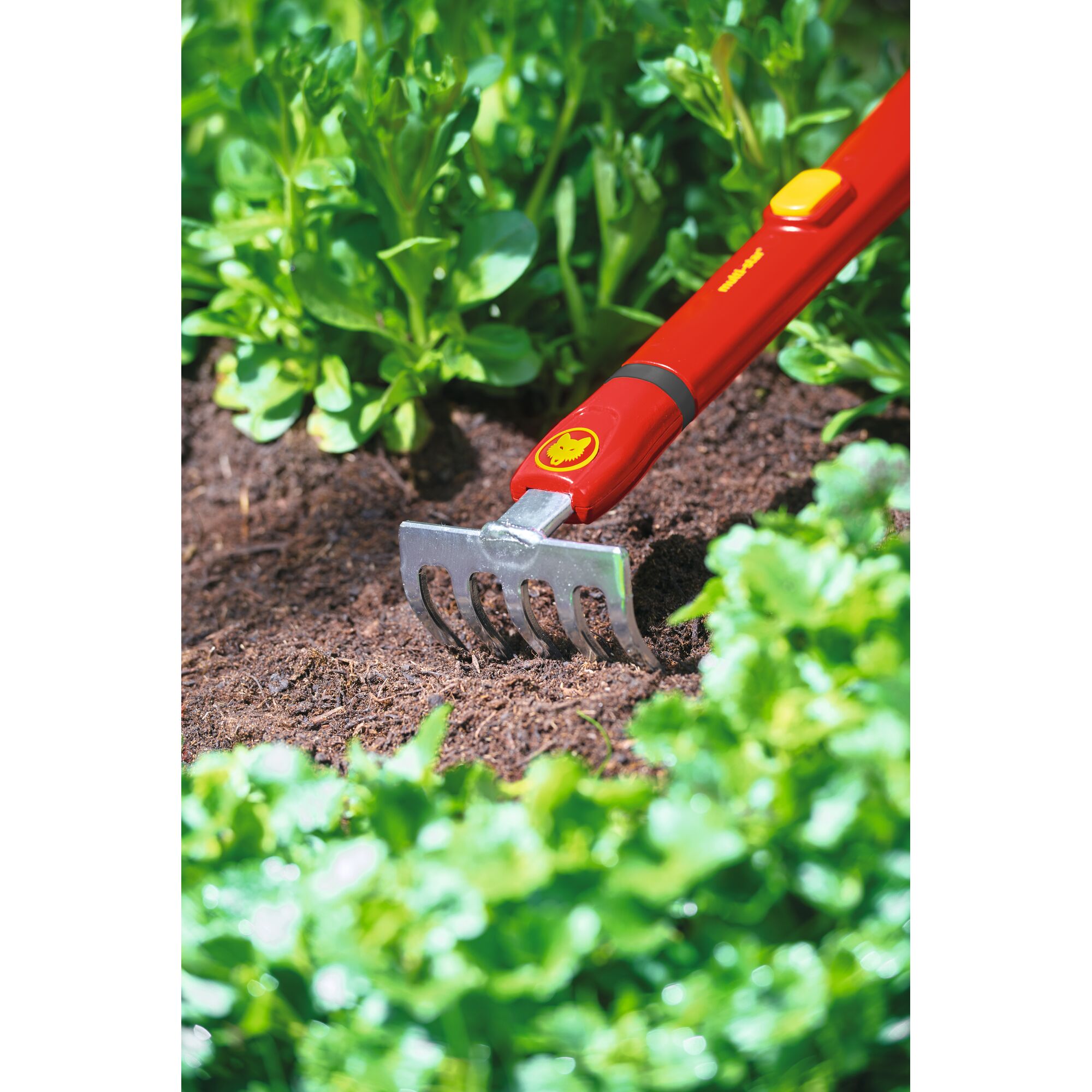 A close-up of a red WOLFGarten garden tool with a metal rake head being used to cultivate soil in a garden, surrounded by green plants.