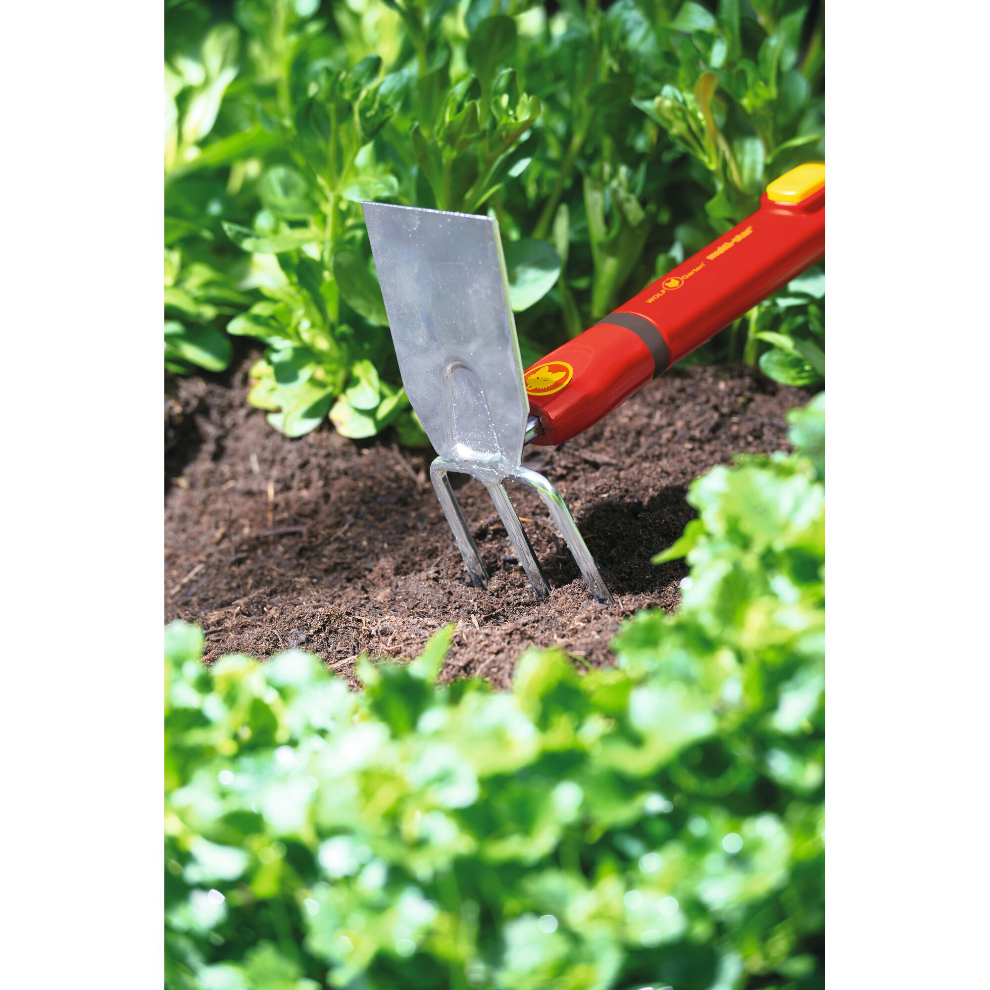 A close-up photo of a gardening tool with a red handle and metal blade and fork, used for loosening soil among green plants.