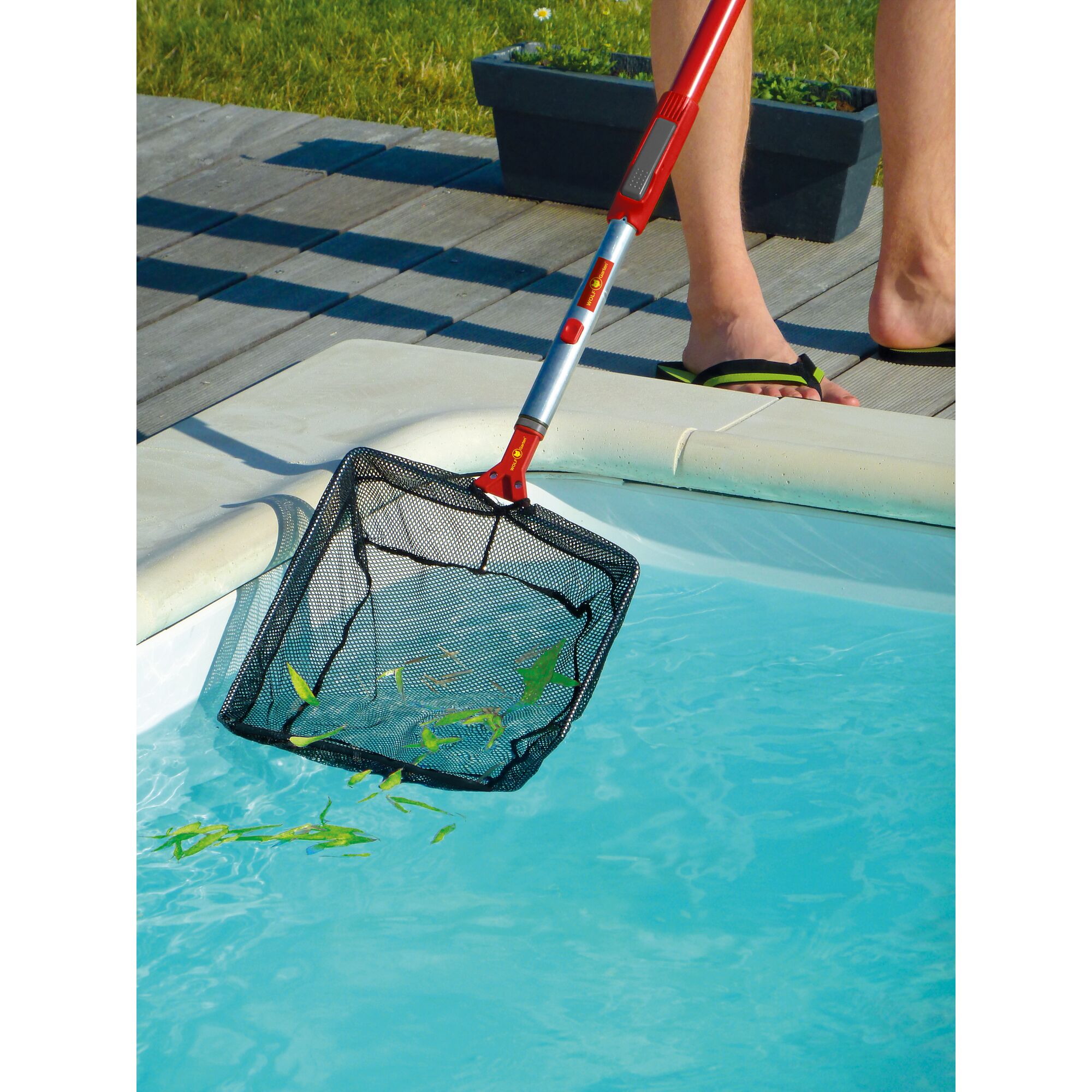 A red-handled pool net is being used to collect leaves from a swimming pool. A person is standing by the poolside wearing flip-flops.