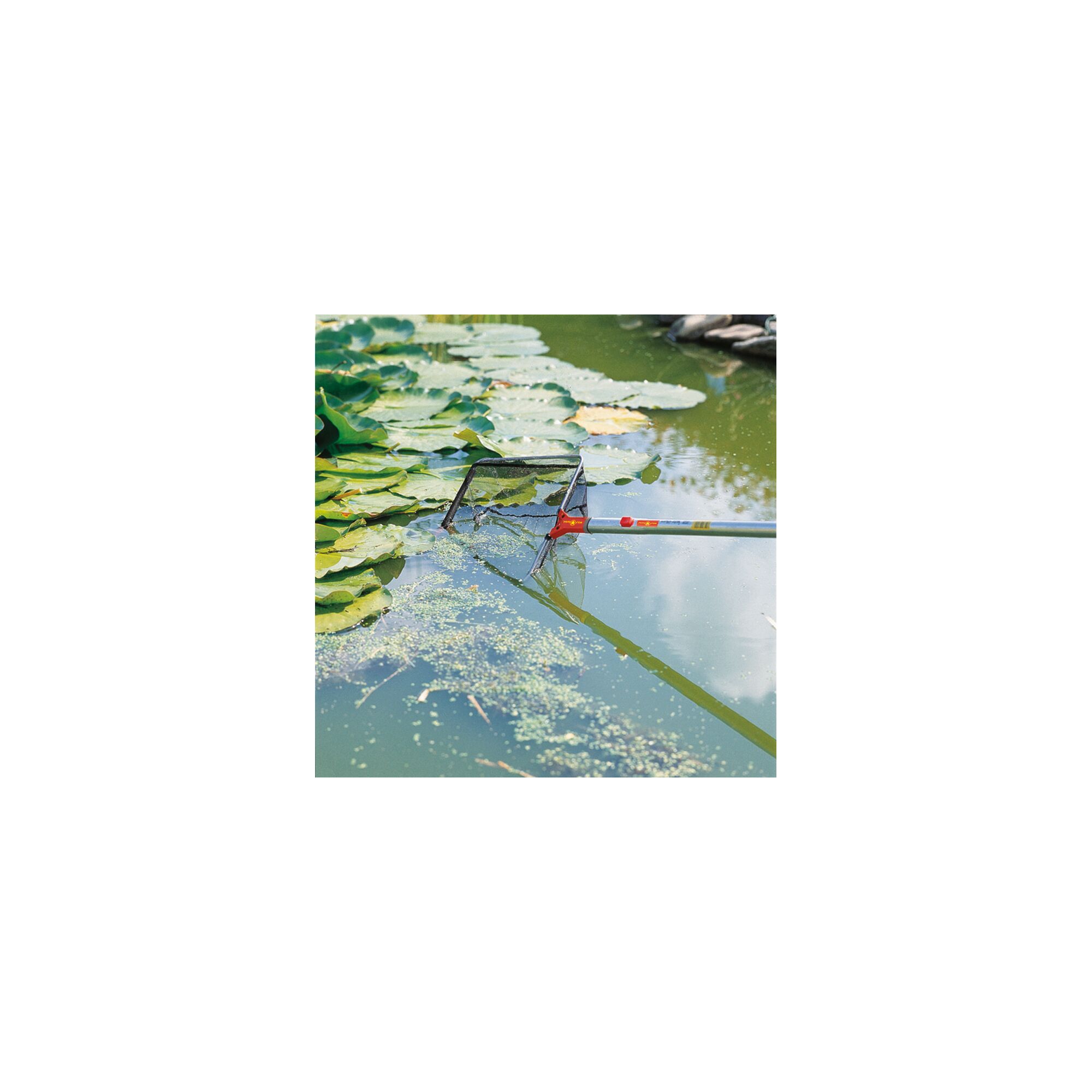 A WOLFGarten pond tool being used to clear aquatic plants and debris from a garden pond.