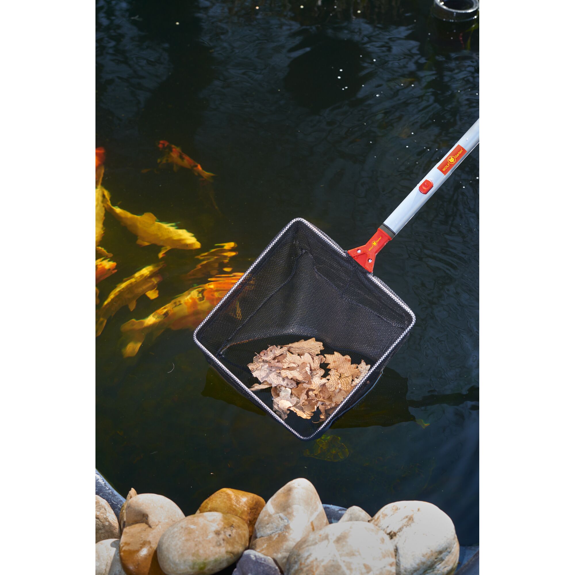 A WOLFGarten pond net with a handle is used to collect dried leaves from the surface of a garden pond. Brightly colored fish are visible in the water and rocks line the pond edge.