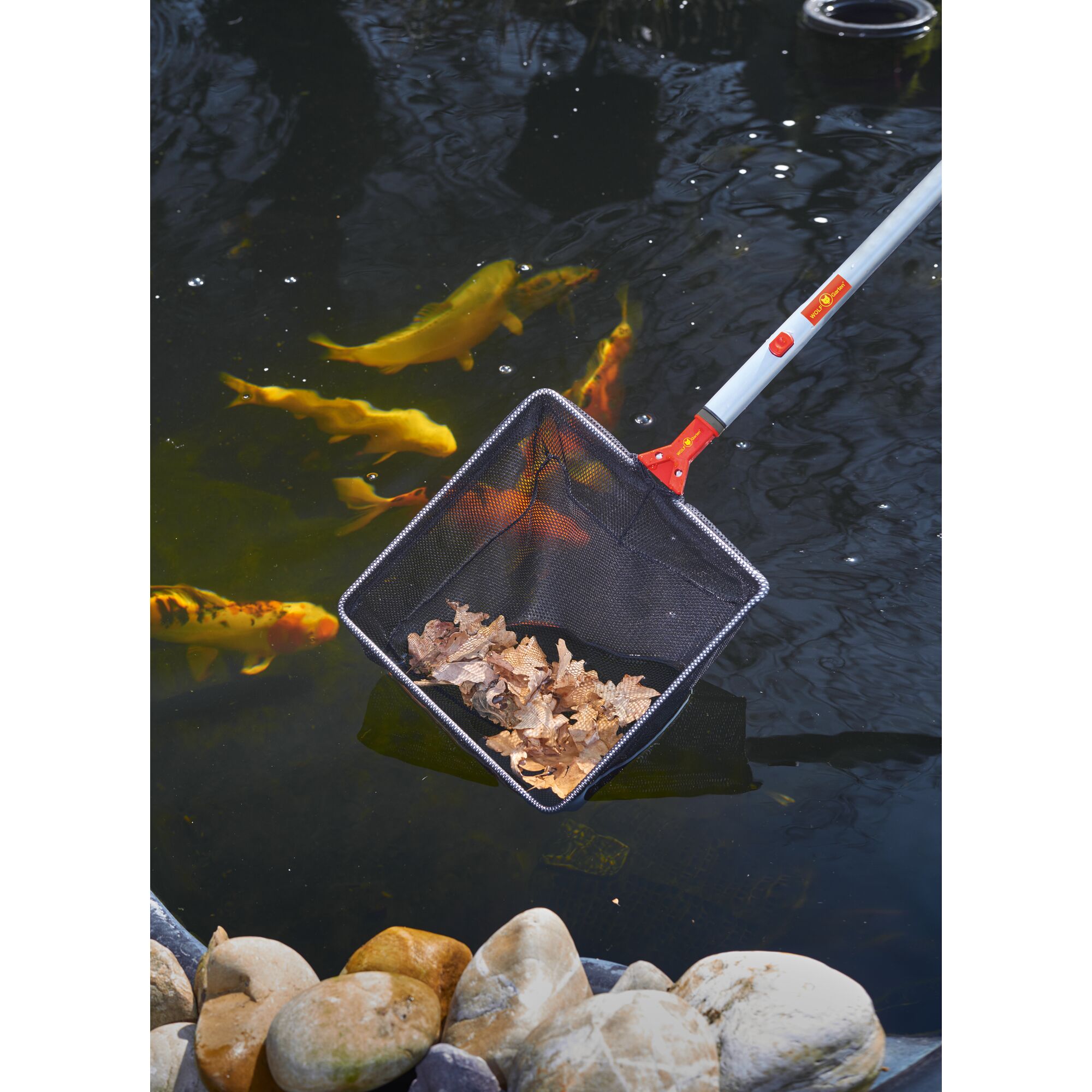 A pond cleaning net from WOLFGarten is shown in use, scooping dried leaves from a pond with several yellow and orange fish swimming underwater near rocks.