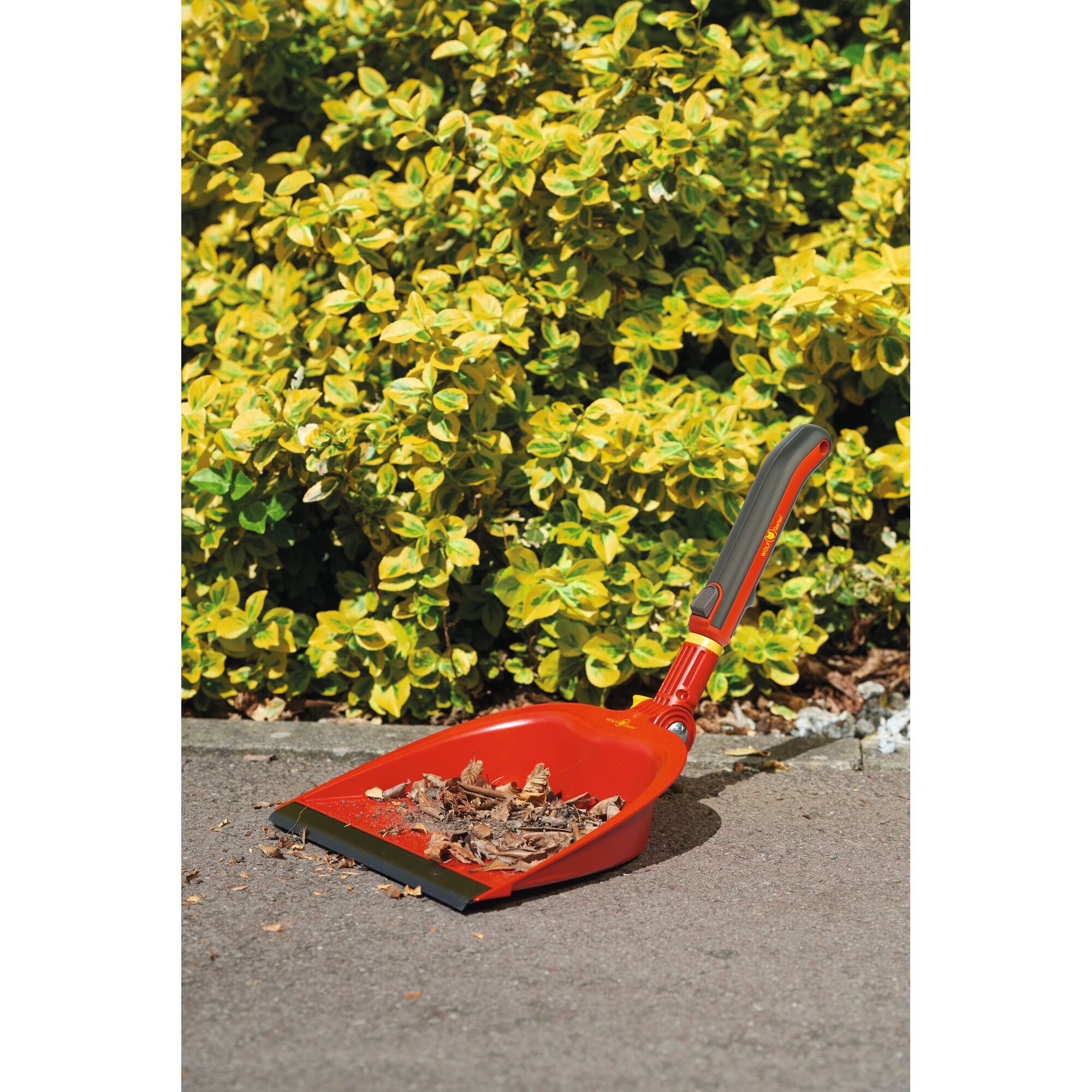 Red and black dustpan from WOLF-Garten with leaves inside, placed on a garden path in front of yellow-green bushes.