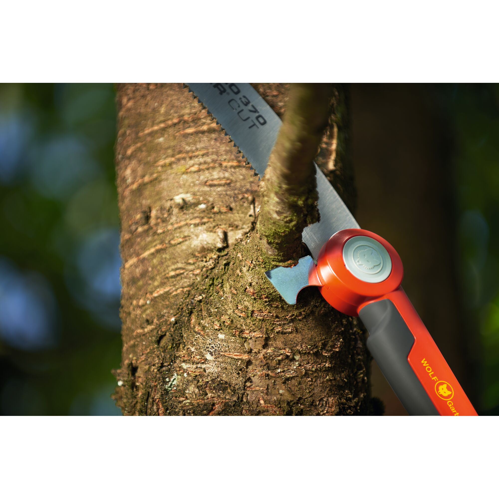 Close-up of a WOLF-Garten pruning saw cutting a branch from a tree, with a clear view of its red and black handle.
