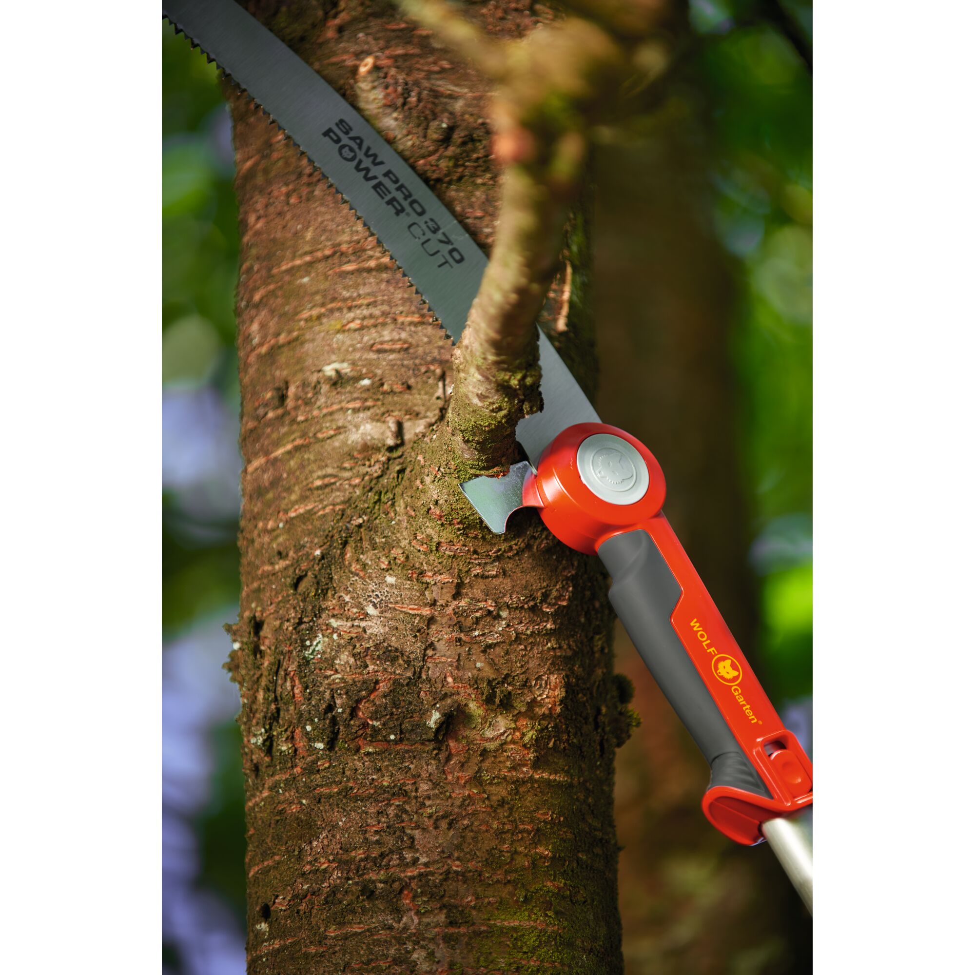 A WOLFGarten POWER CUT saw is being used to cut a branch from a tree. The saw has a red and grey handle and is positioned against the tree trunk, showing the serrated blade cutting through the wood.