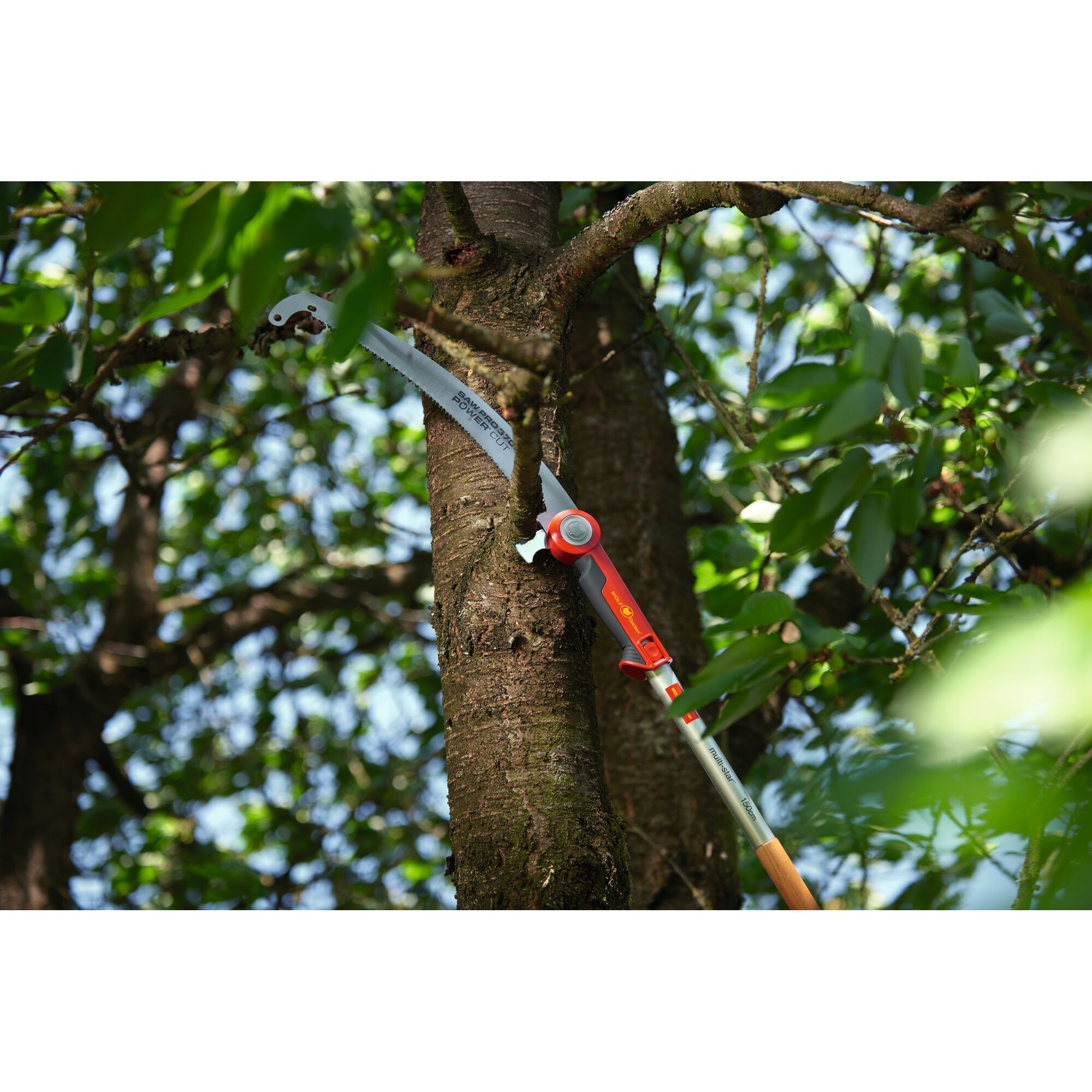 A WOLFGarten pole saw with a red and silver handle is being used to cut a thick tree branch. The saw is positioned against the branch among green leaves and foliage outdoors.