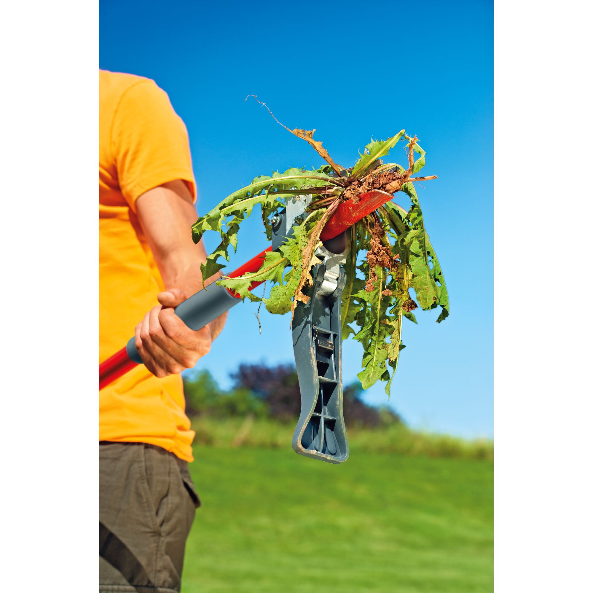 A person using a WOLF-Garten weed puller to extract a dandelion with roots from the lawn. The tool is gripping the weed, and the person is holding the handle outdoors on a grassy area.