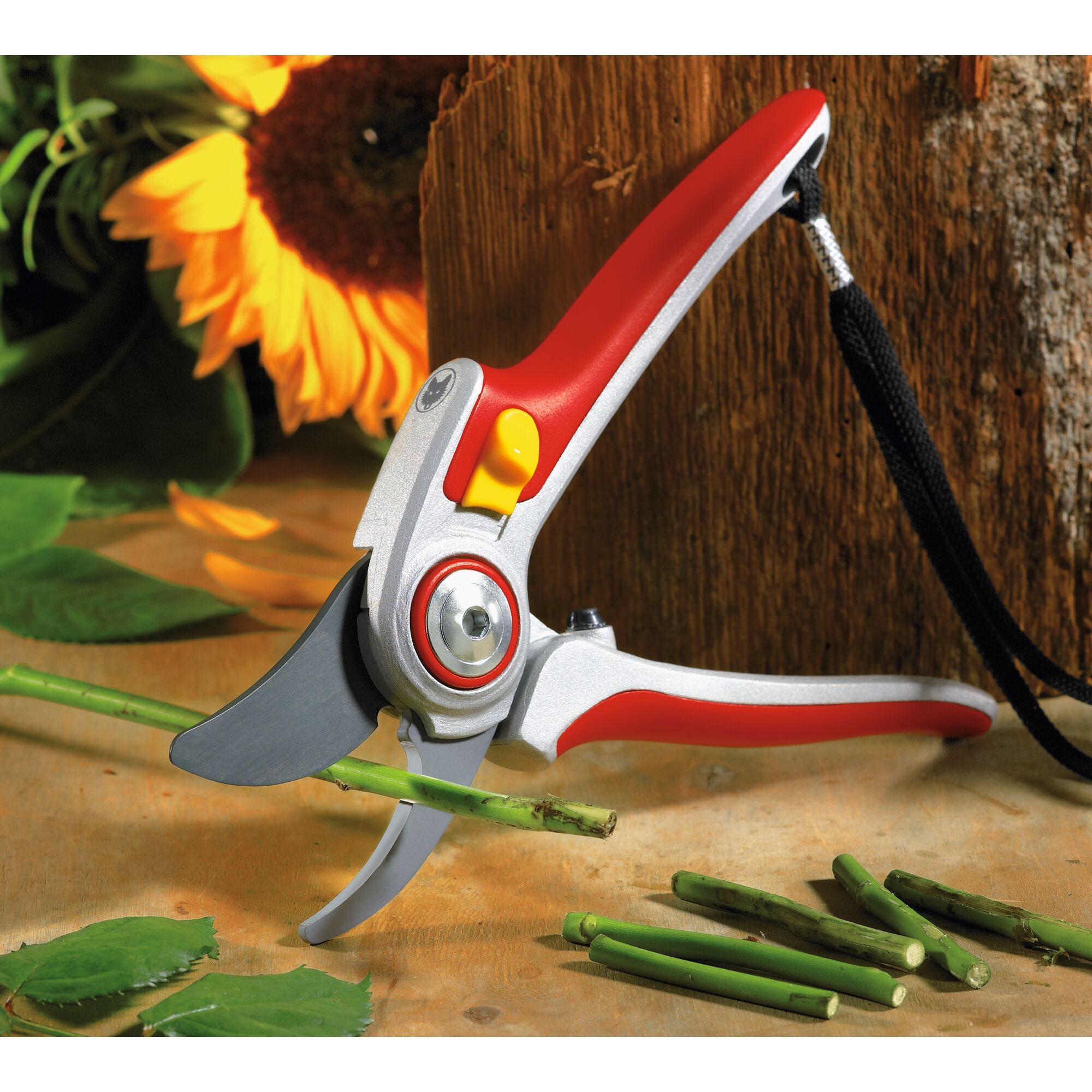 A close-up image of a pair of red and silver garden secateurs cutting a green plant stem on a wooden surface, with a sunflower and leaves in the background.