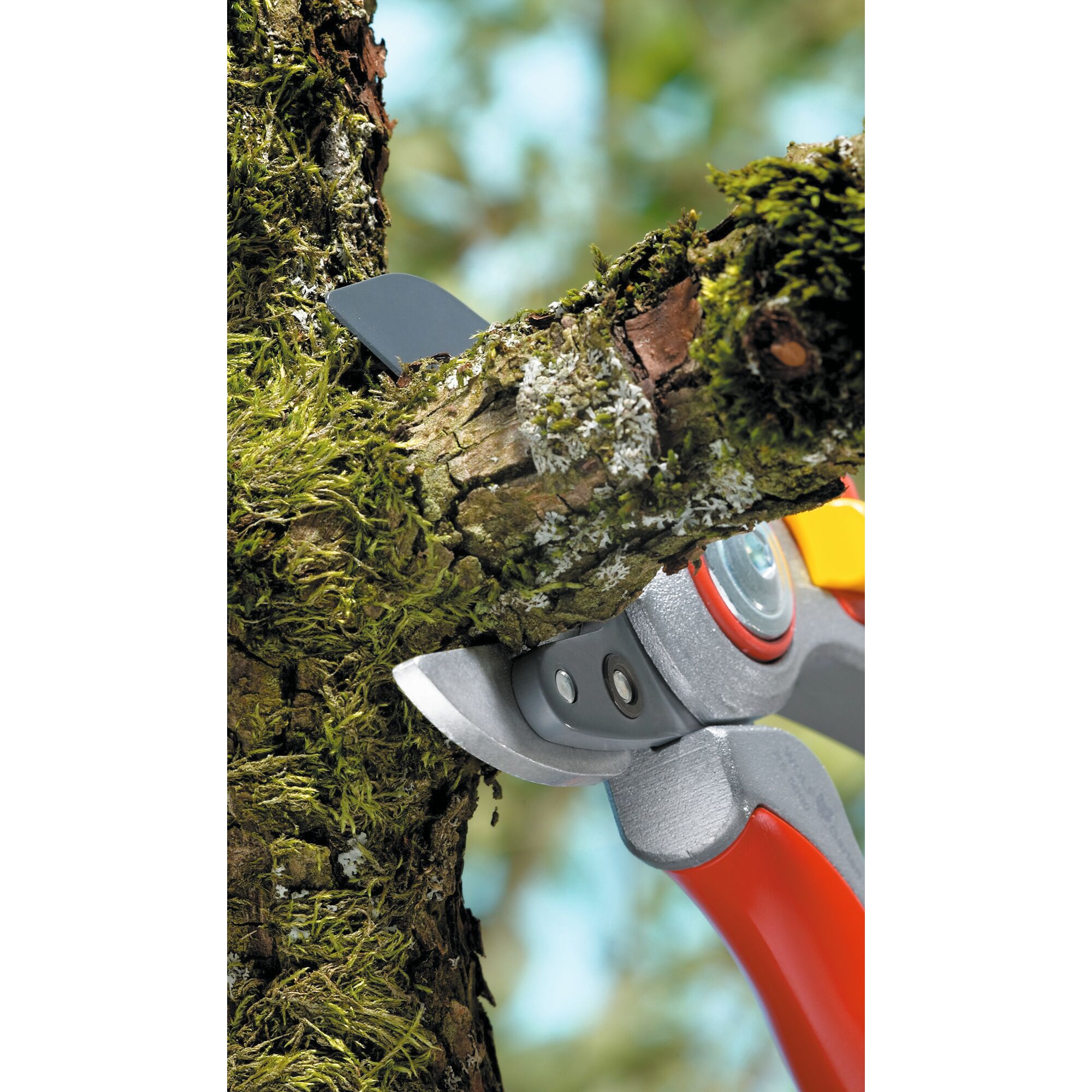 Close-up of a WOLFGarten pruning tool cutting through a mossy tree branch outdoors.
