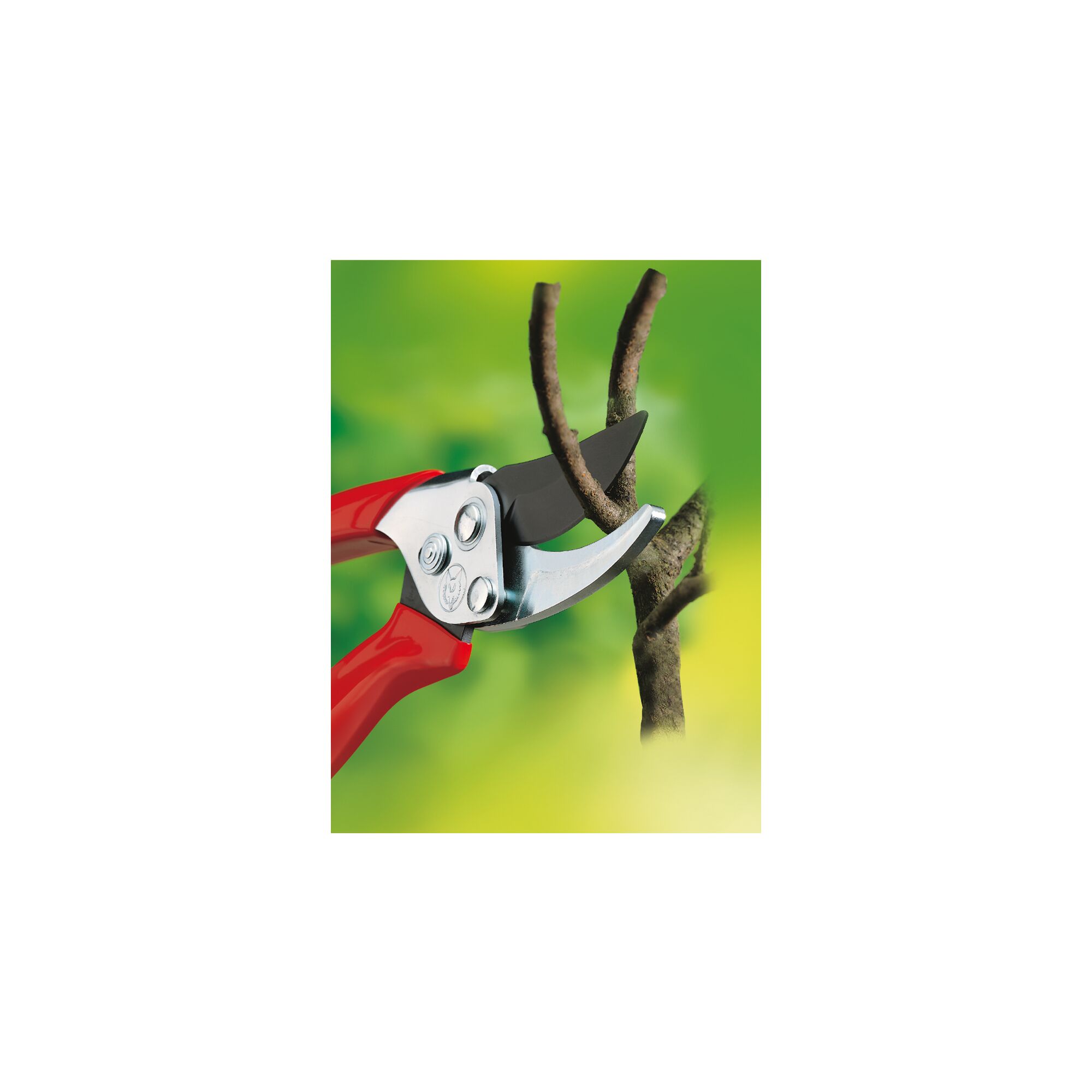 A close-up of a pair of red-handled garden pruning shears cutting a thin tree branch, with a blurred green background.