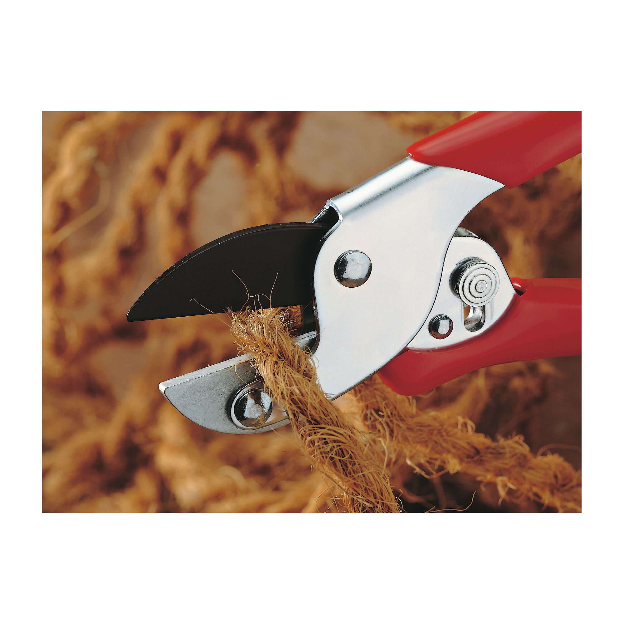 Close-up of a pair of garden pruning shears with red handles cutting through a thick natural rope.